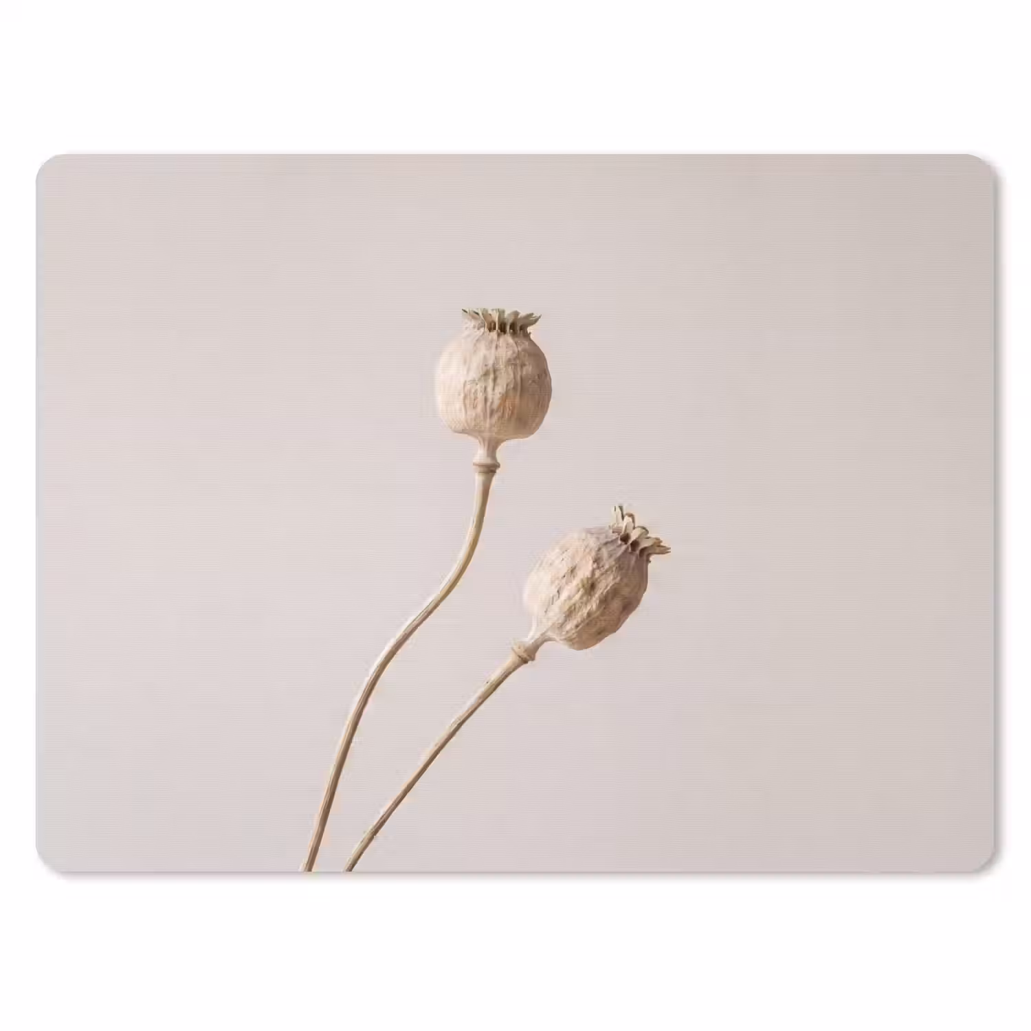 Papaverbollen - Droogbloemen - Minimalistisch - Beige - Rustig muismat rubber klein -3d