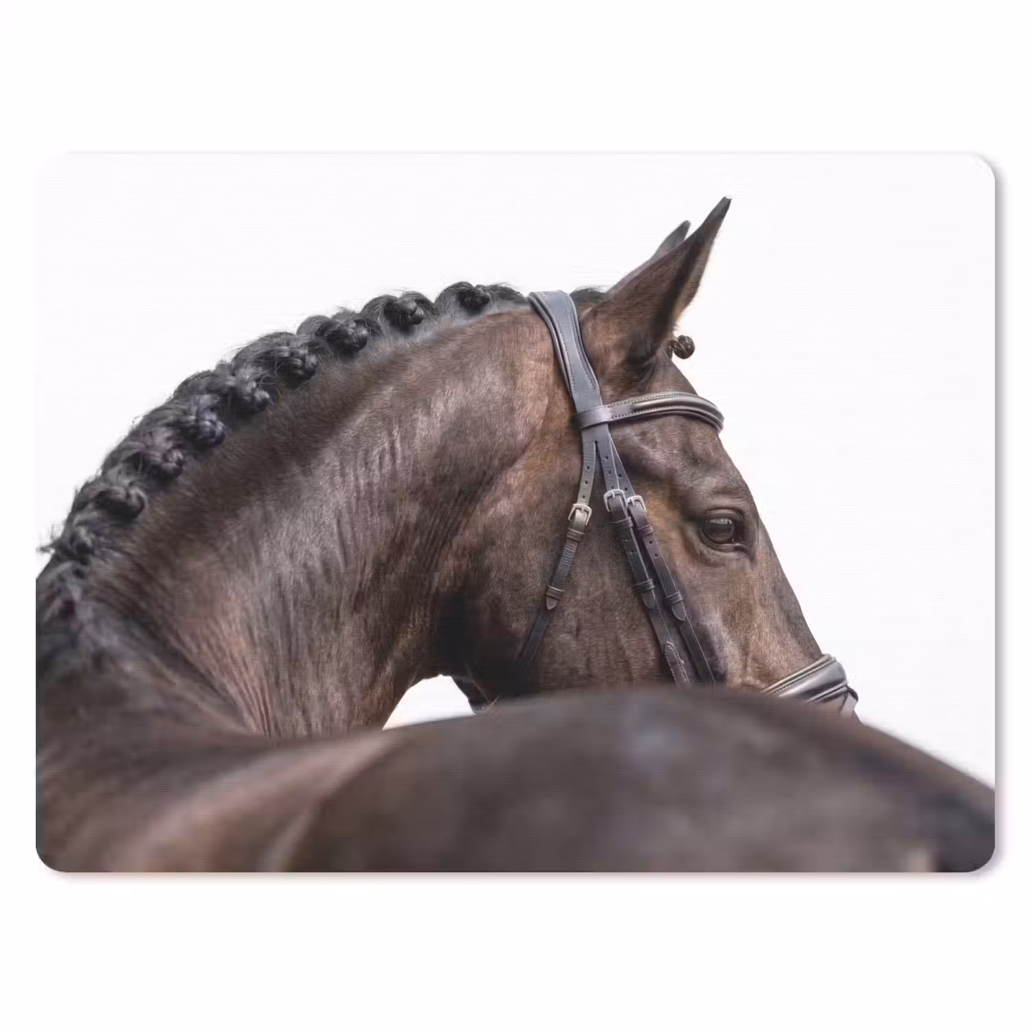 Portret - Paard - Elegant muismat rubber klein -3d