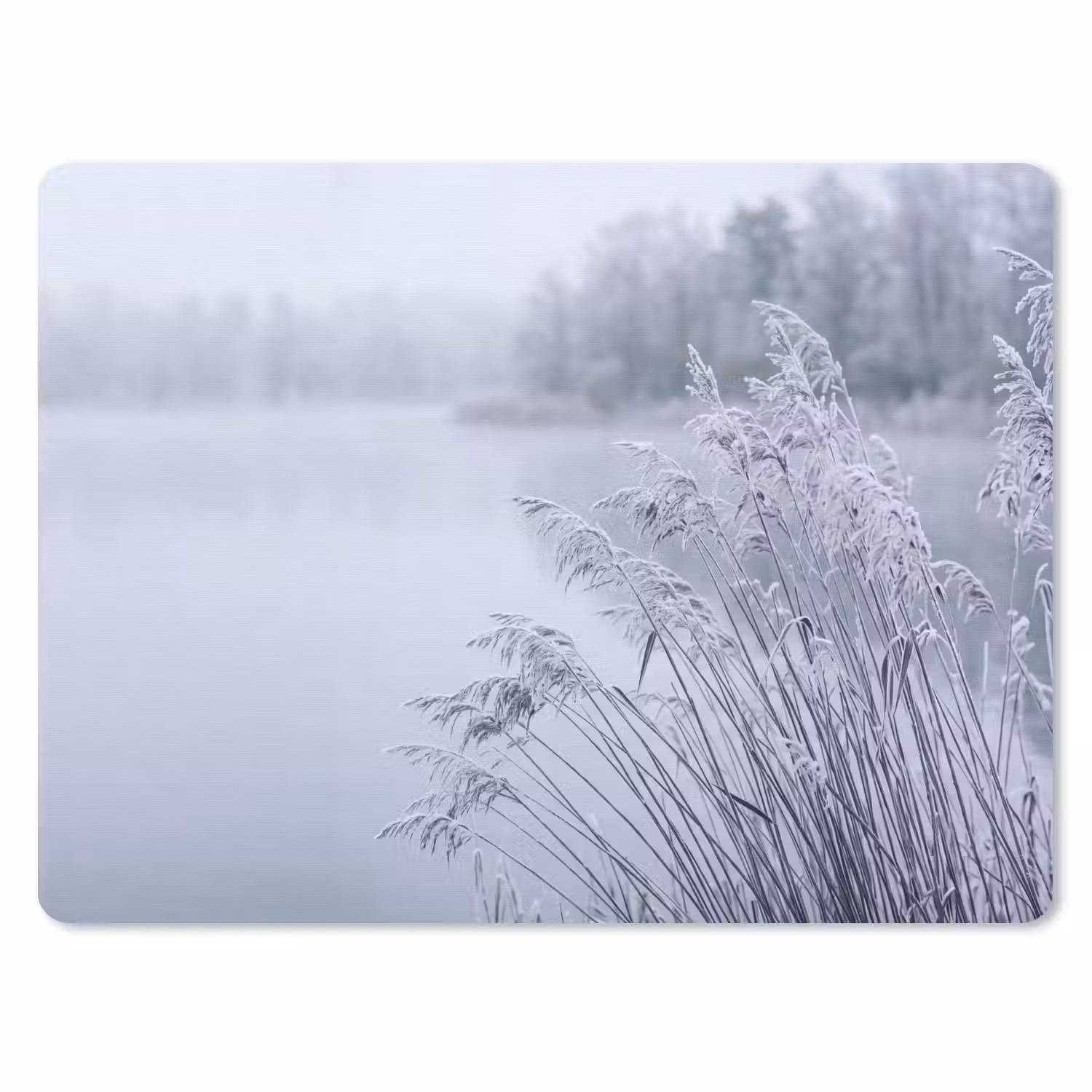 Riet - Bevroren - Winter - Natuur muismat rubber klein -3d