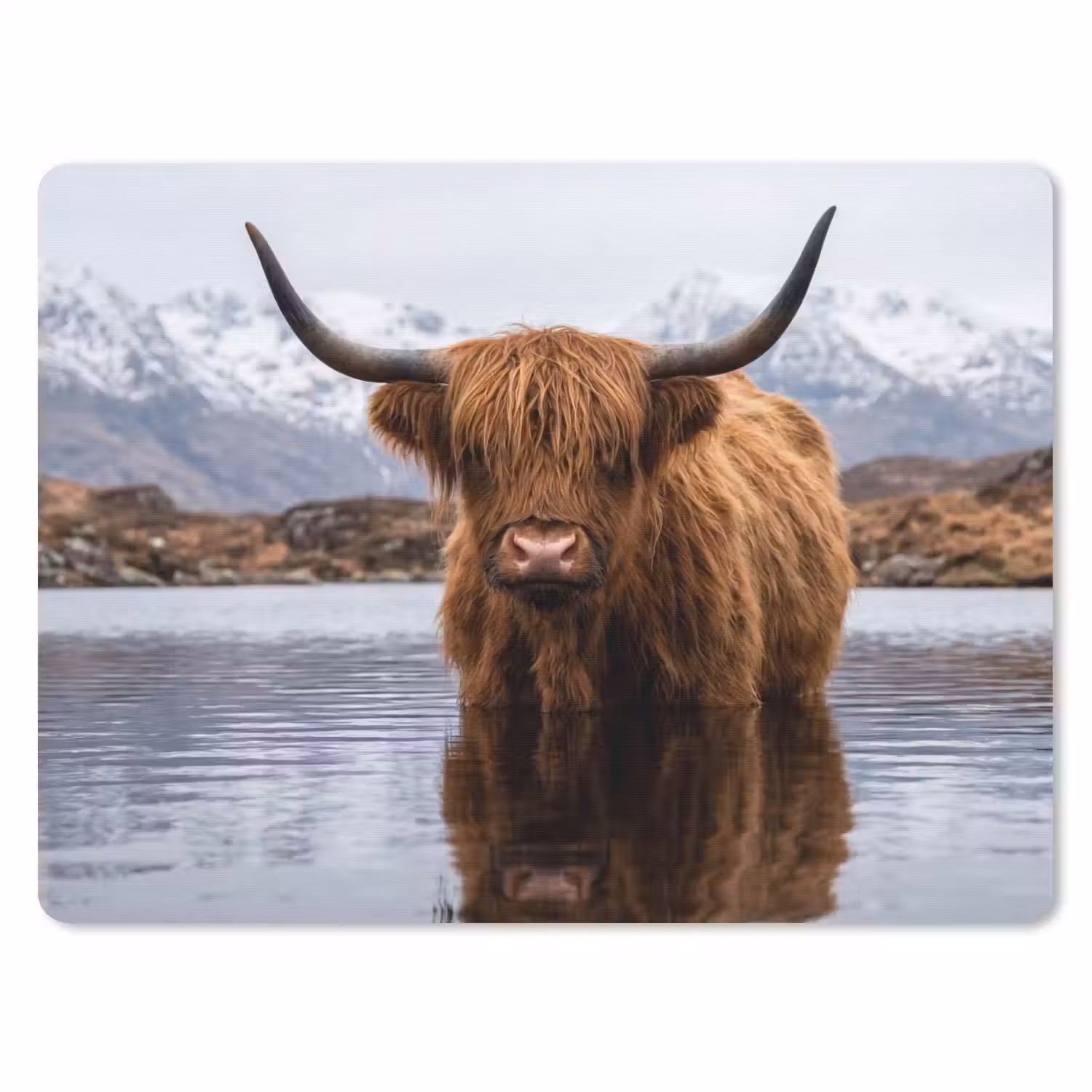 Schotse hooglander - Bruin - Water muismat rubber klein -3d