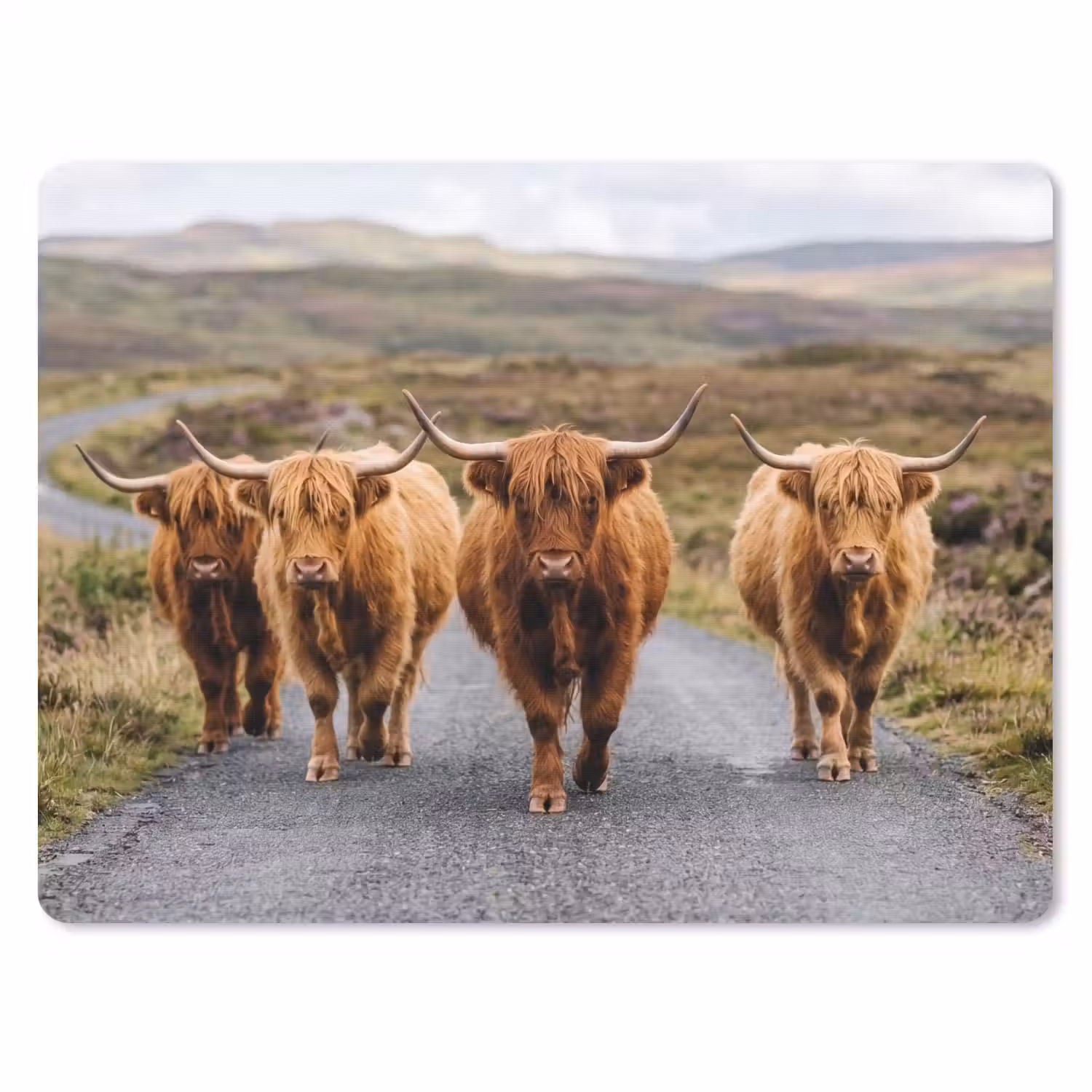 Schotse Hooglanders - Weg - Landschap - Kudde muismat rubber klein -3d