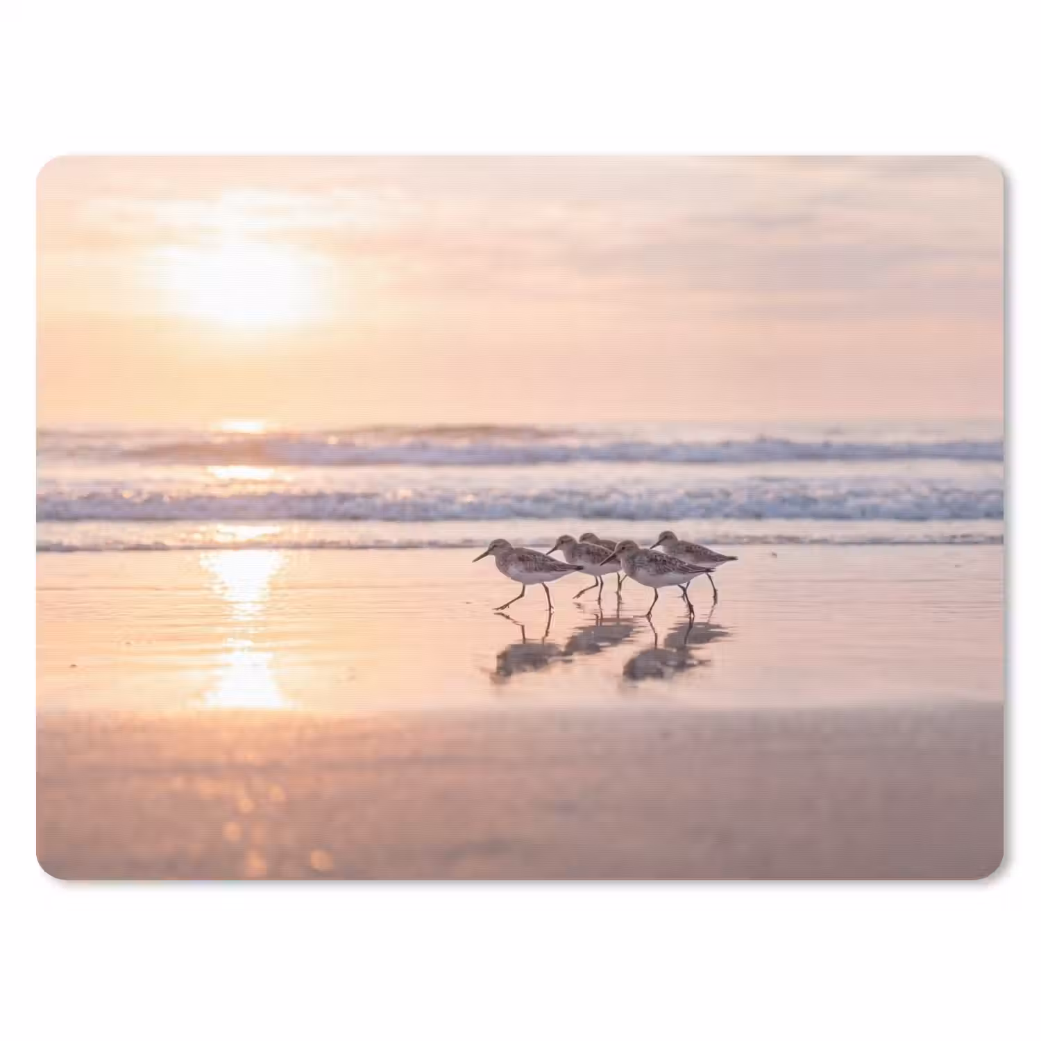 Zee - Vogels - Strand muismat rubber klein -3d