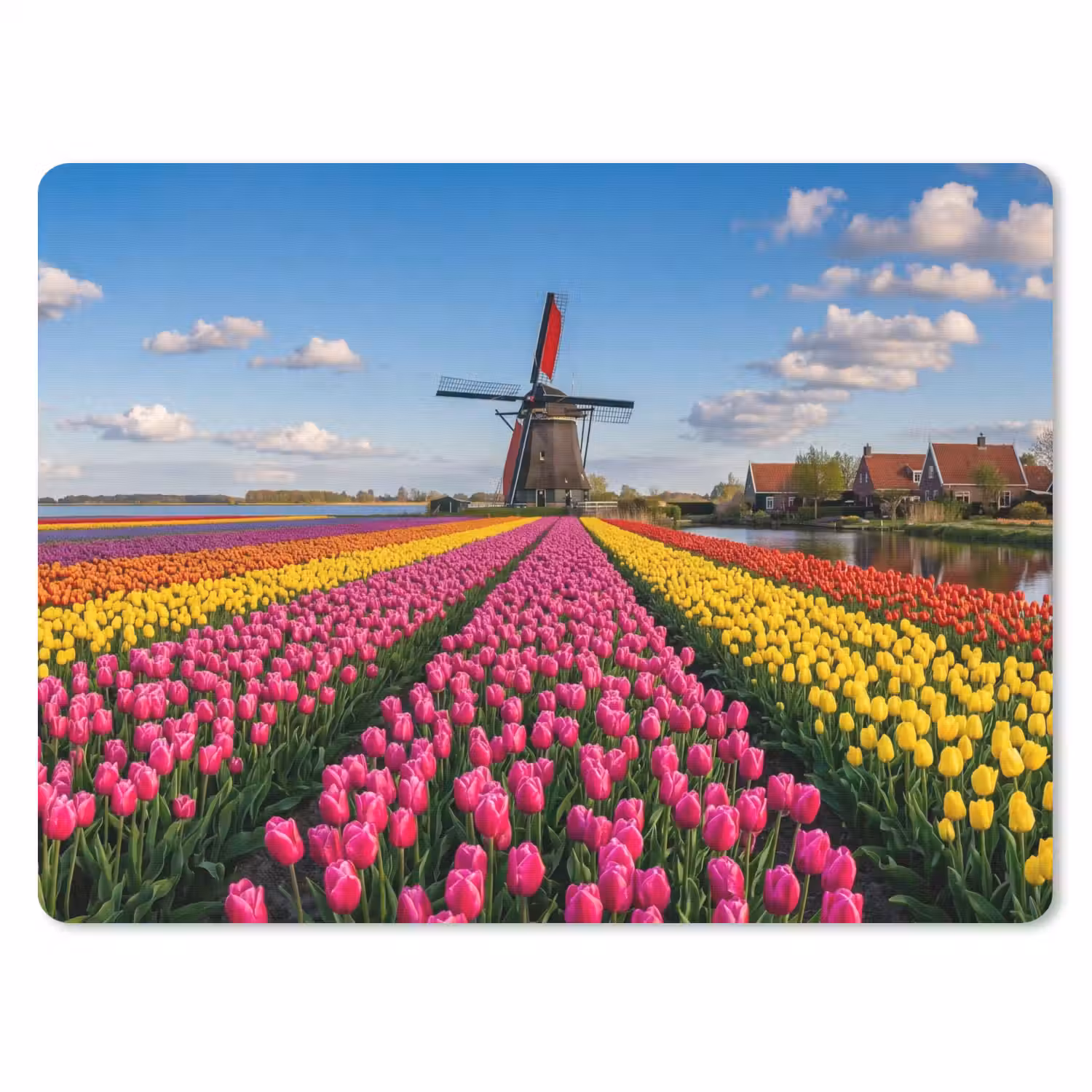 Tulpen - Holland - Molen - Kleurrijk muismat rubber klein -3d