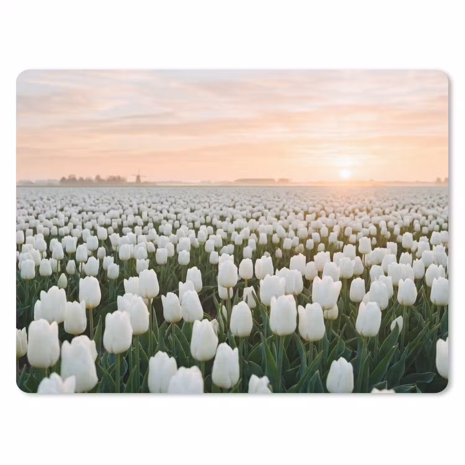 Tulpen - Landschap - Wit muismat rubber klein -3d