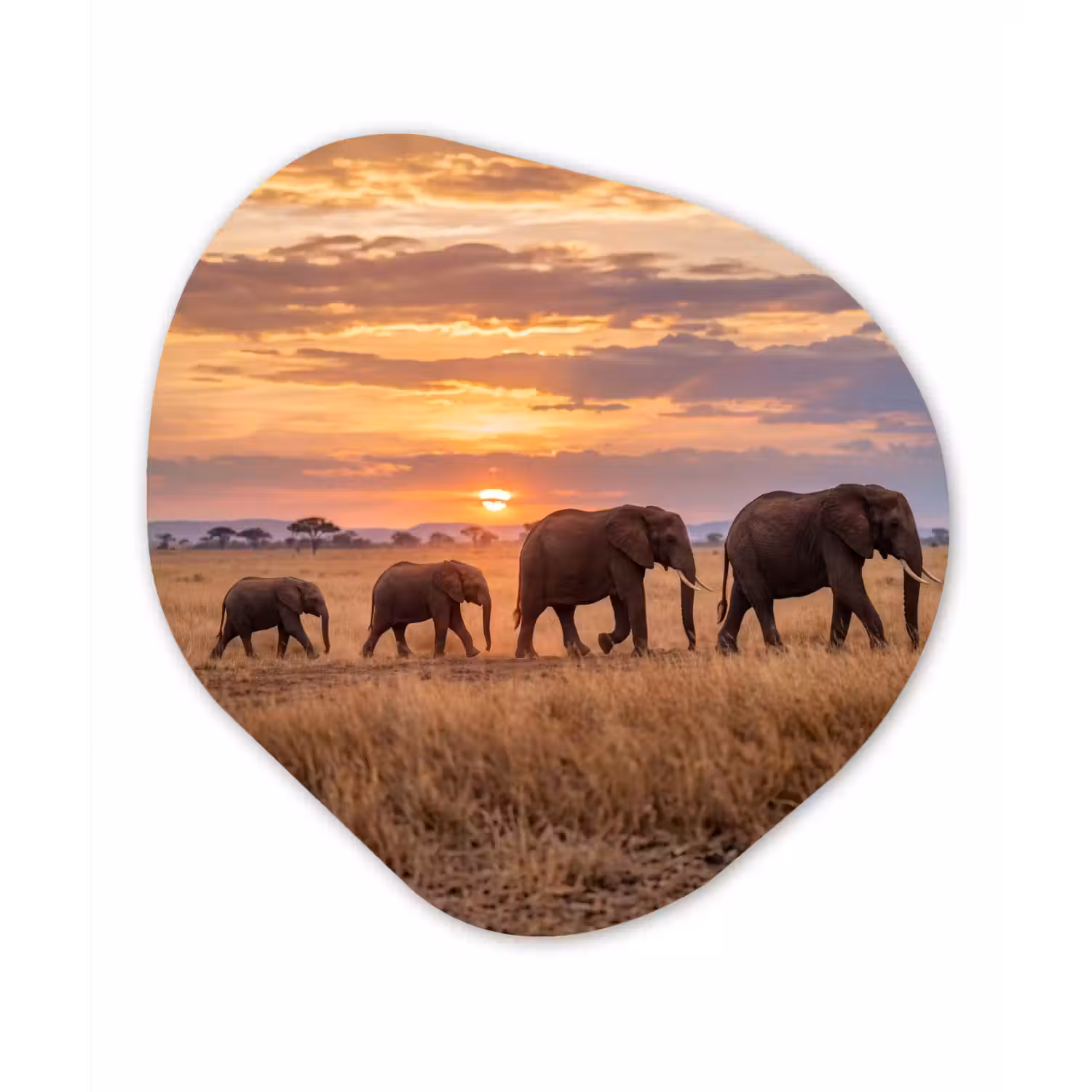 Olifanten - Savanne - Zonsondergang - Afrika - Warm Wandcirkel Organisch Forex 3mm klein -3d