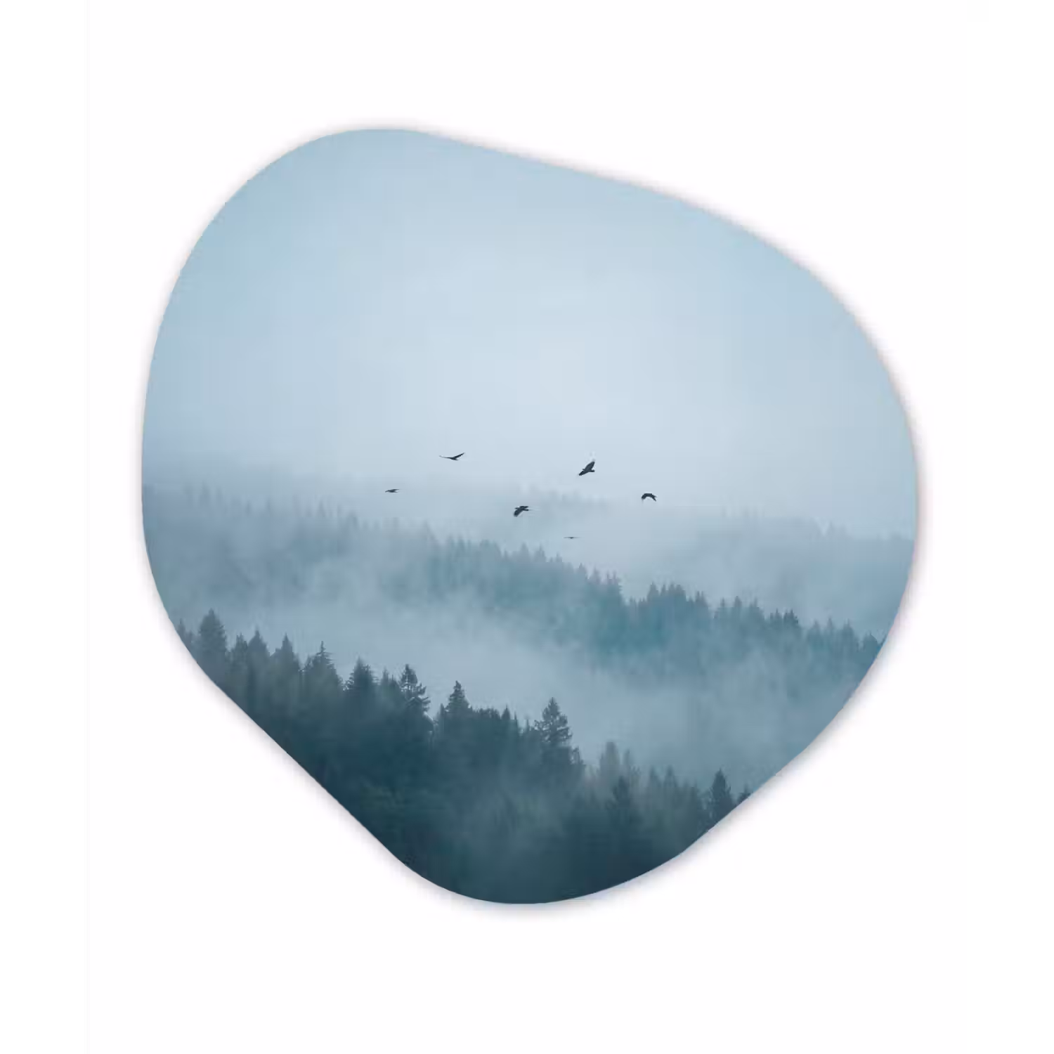 Bos - Mist - Vogels - Natuur - Groen Wandcirkel Organisch Forex 3mm klein -3d