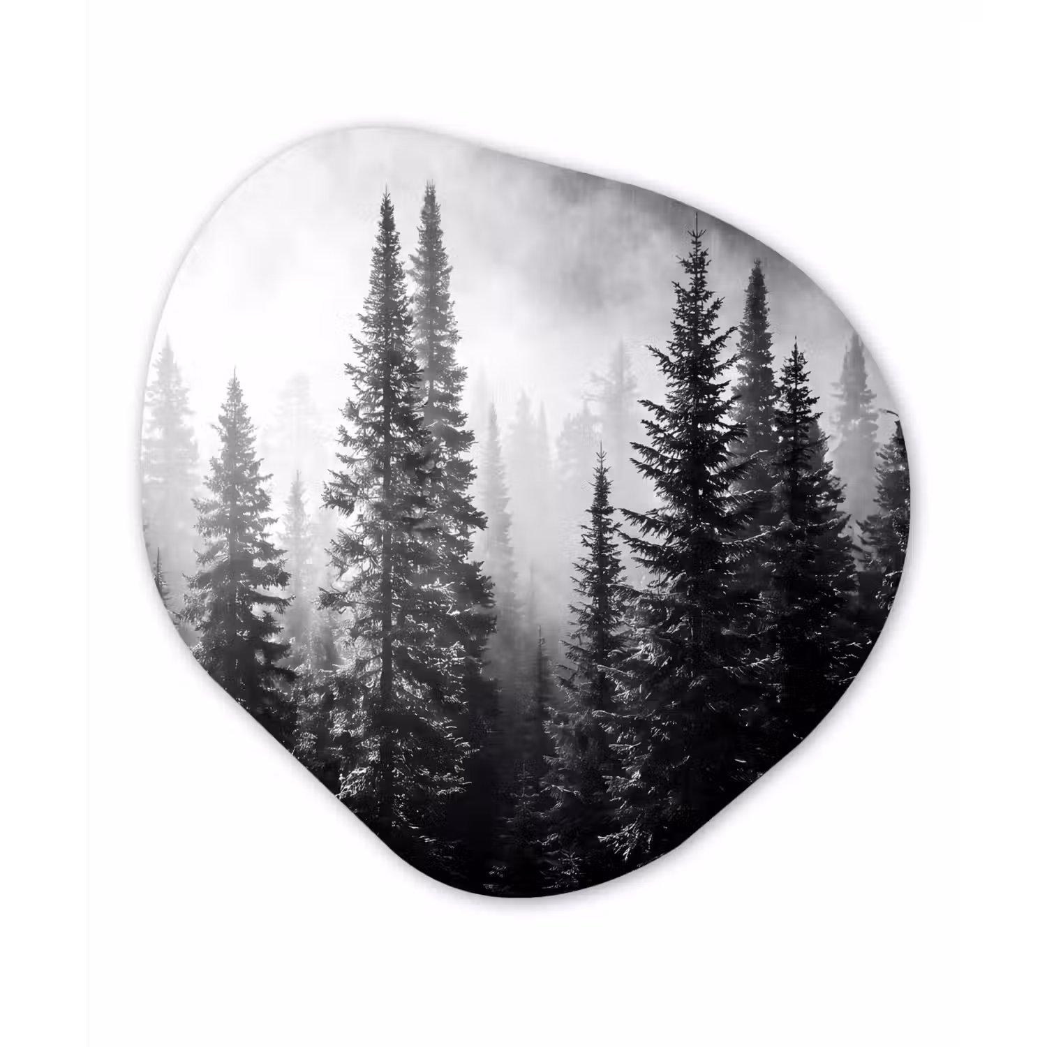 Bos - Mist - Winter - Monochroom - Natuur Wandcirkel Organisch Forex 3mm klein -3d
