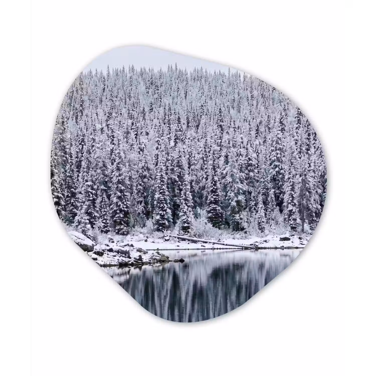 Bos - Reflectie - Meer - Winter - Serene Wandcirkel Organisch Forex 3mm klein -3d