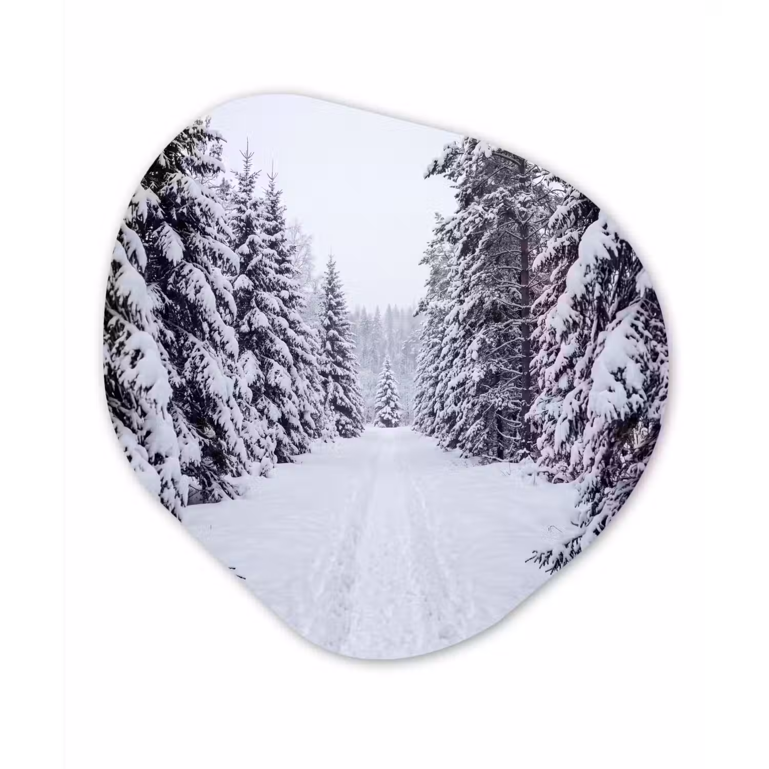 Bos - Winter - Sneeuw - Pad - Natuur Wandcirkel Organisch Forex 3mm klein -3d