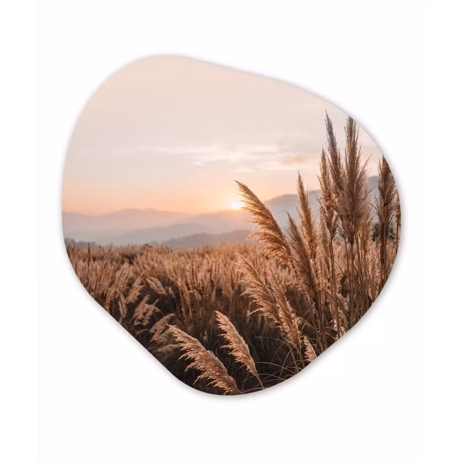 Gras - Veld - Zon - Natuur Wandcirkel Organisch Forex 3mm klein -3d