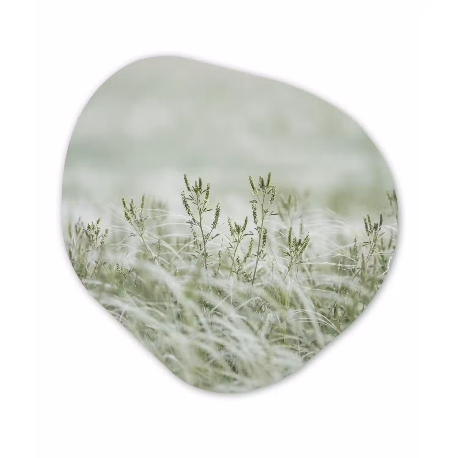 Grassen - Minimalistisch - Groen Wandcirkel Organisch Forex 3mm klein -3d