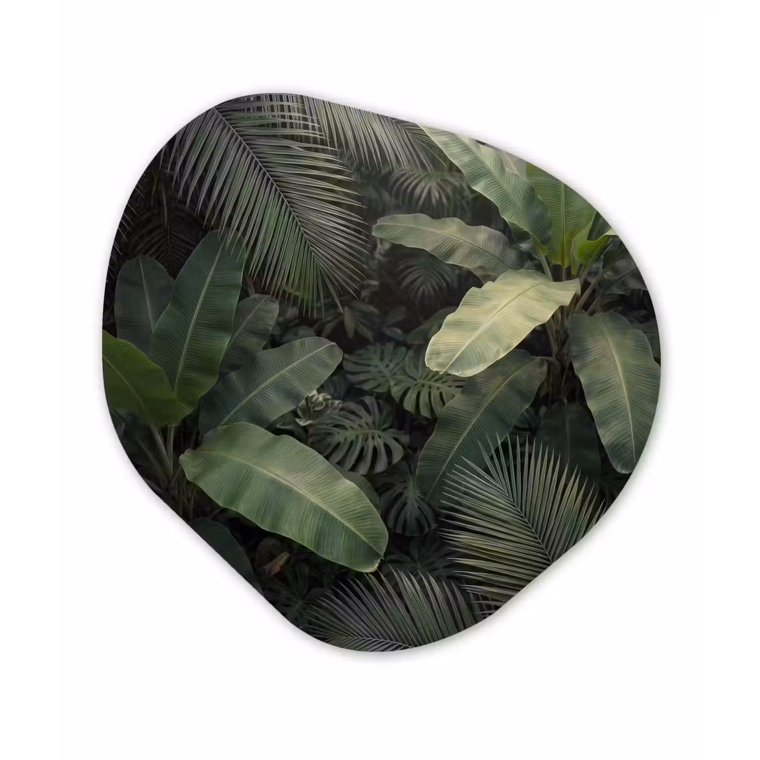Bladeren - Groen - Tropisch - Natuur Wandcirkel Organisch Forex 3mm klein -3d