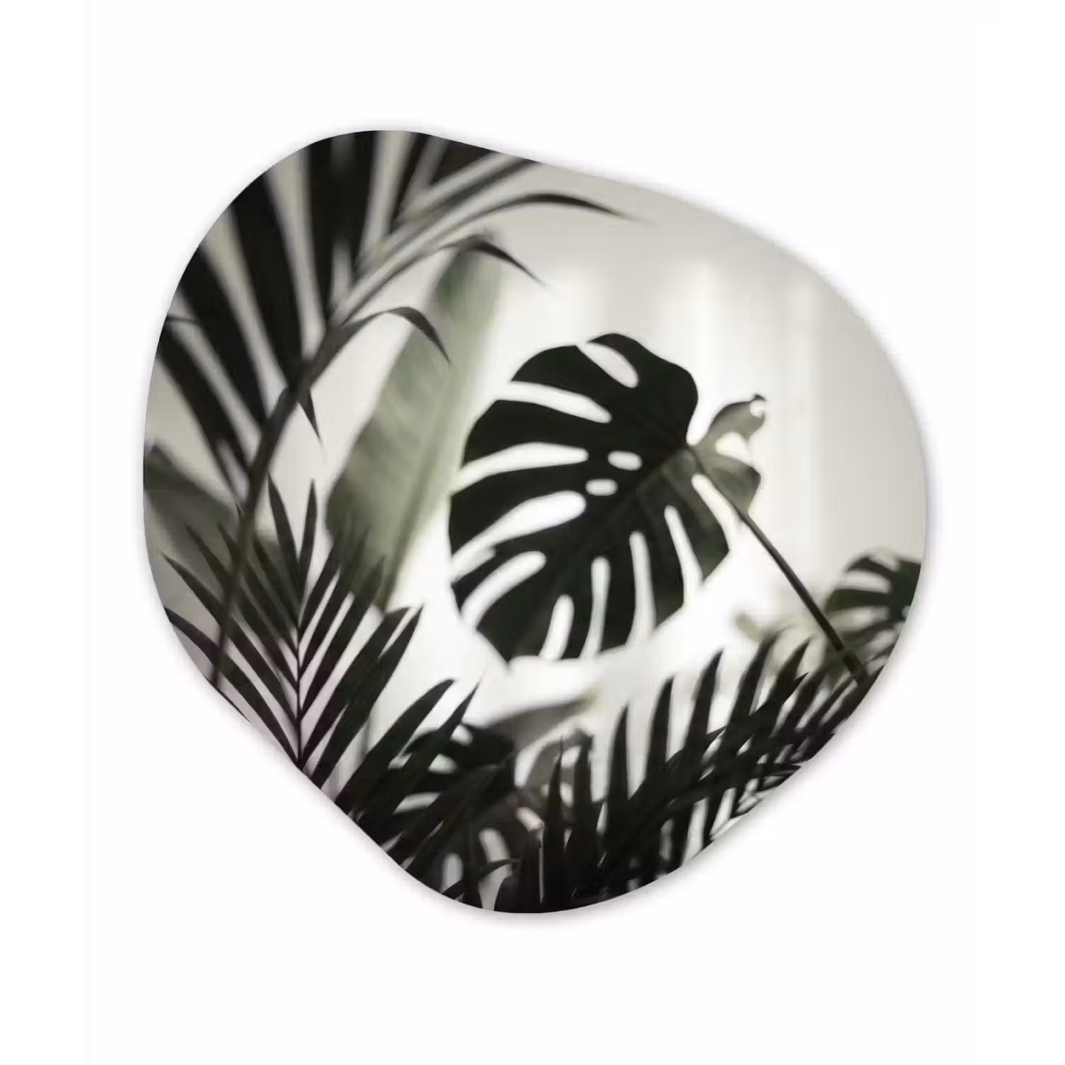 Planten - Bladeren - Natuur - Minimalistisch - Groen Wandcirkel Organisch Forex 3mm klein -3d