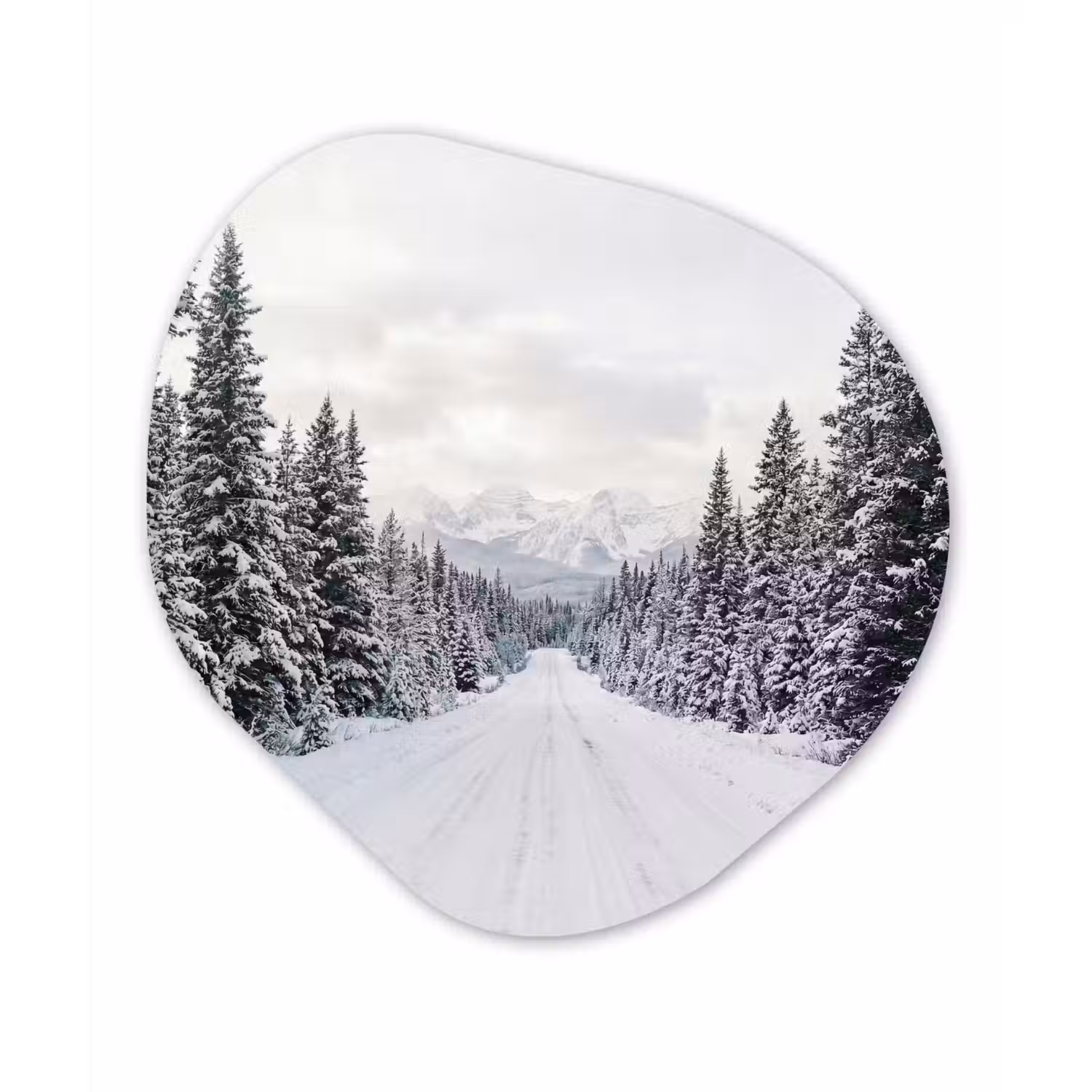 Weg - Sneeuw - Naaldbos - Winter - Avontuurlijk Wandcirkel Organisch Forex 3mm klein -3d