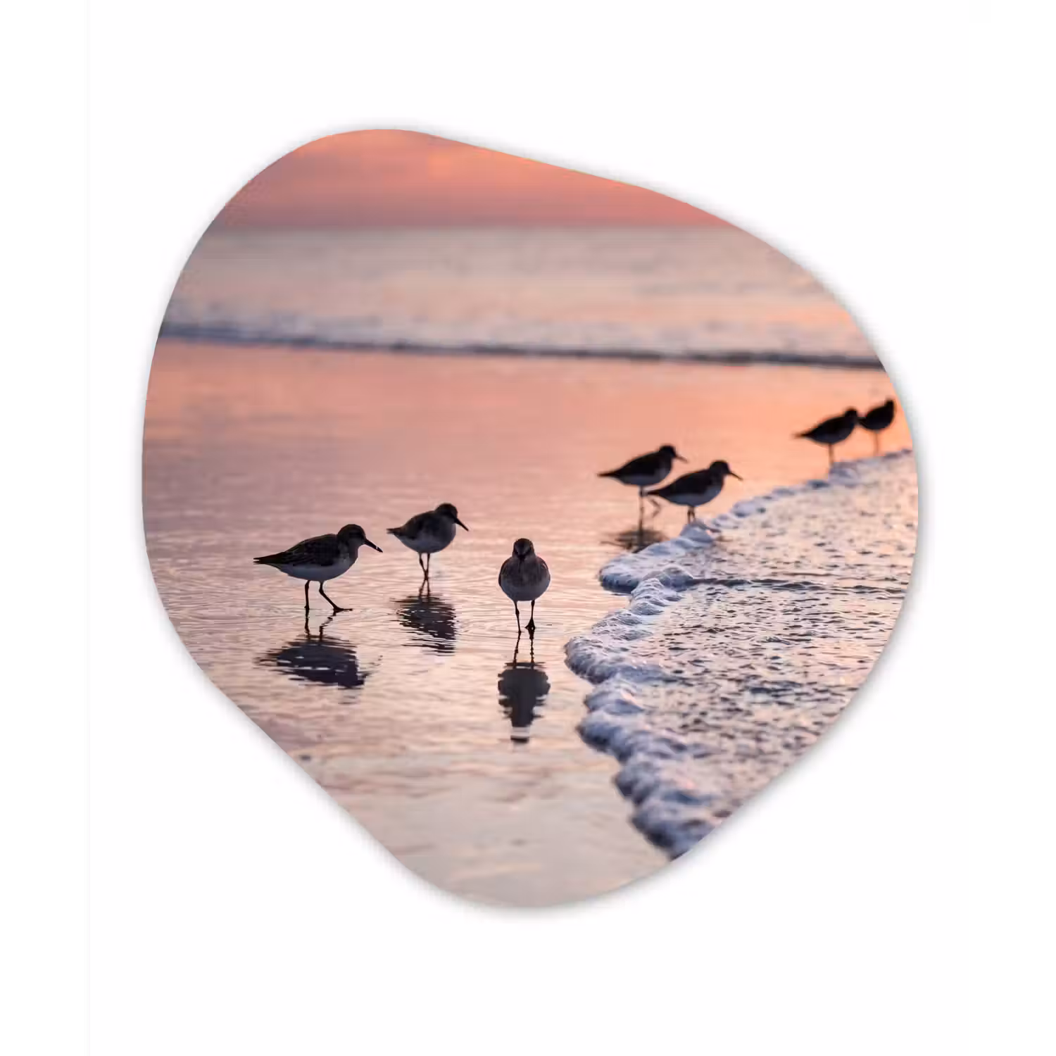Meeuwen - Strand - Zee - Roze Wandcirkel Organisch Forex 3mm klein -3d