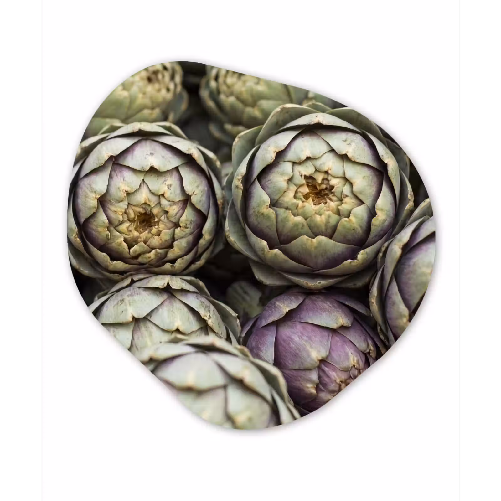 Organic - Forex - Vegetables - Fresh - Food - Groenten - Vers - Eten Wandcirkel Organisch Forex 3mm klein