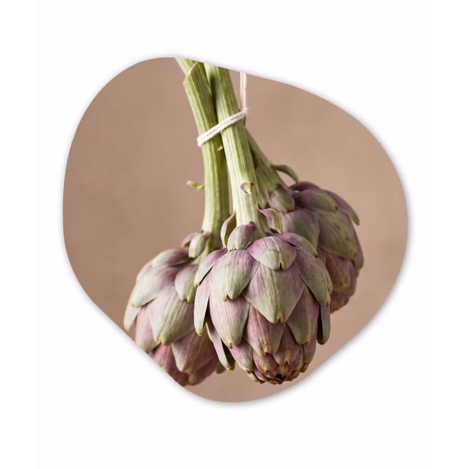 Organic painting - Aluminum -. Artichokes - Hanging - Vegetables - Artisjokken - Hangend - Groenten Wandcirkel Organisch Aluminium middel