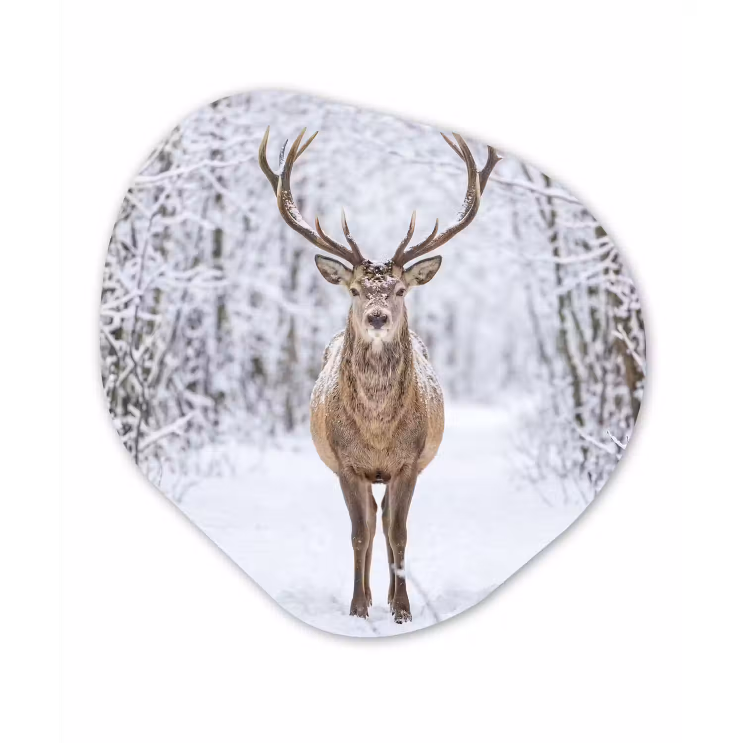 Hert - Winter - Bos - Natuur - Wit Wandcirkel Organisch Aluminium middel -3d