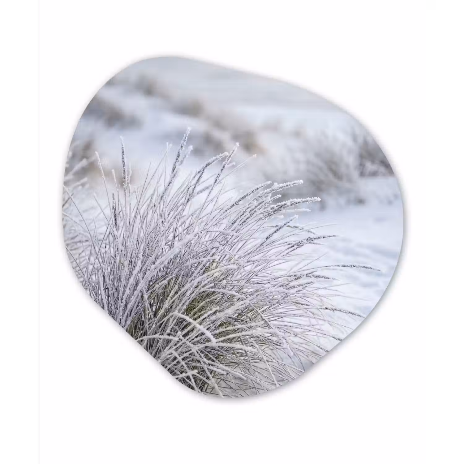 Duinen - Sneeuw - Strand - Winter - Serene Wandcirkel Organisch Aluminium middel -3d