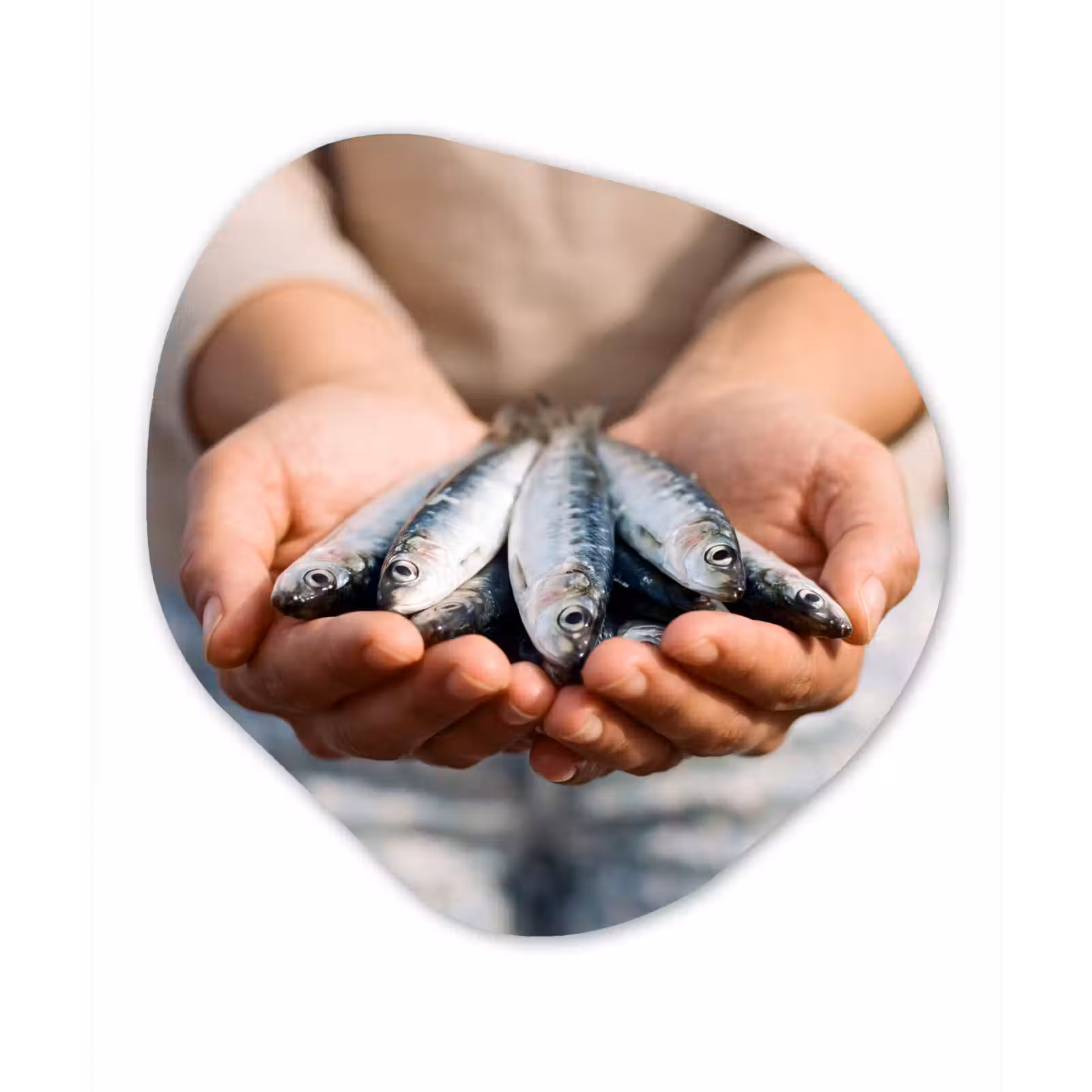Organic painting - Aluminum -. Fish - Hands - Nature - Vis - Handen - Natuur Wandcirkel Organisch Aluminium middel
