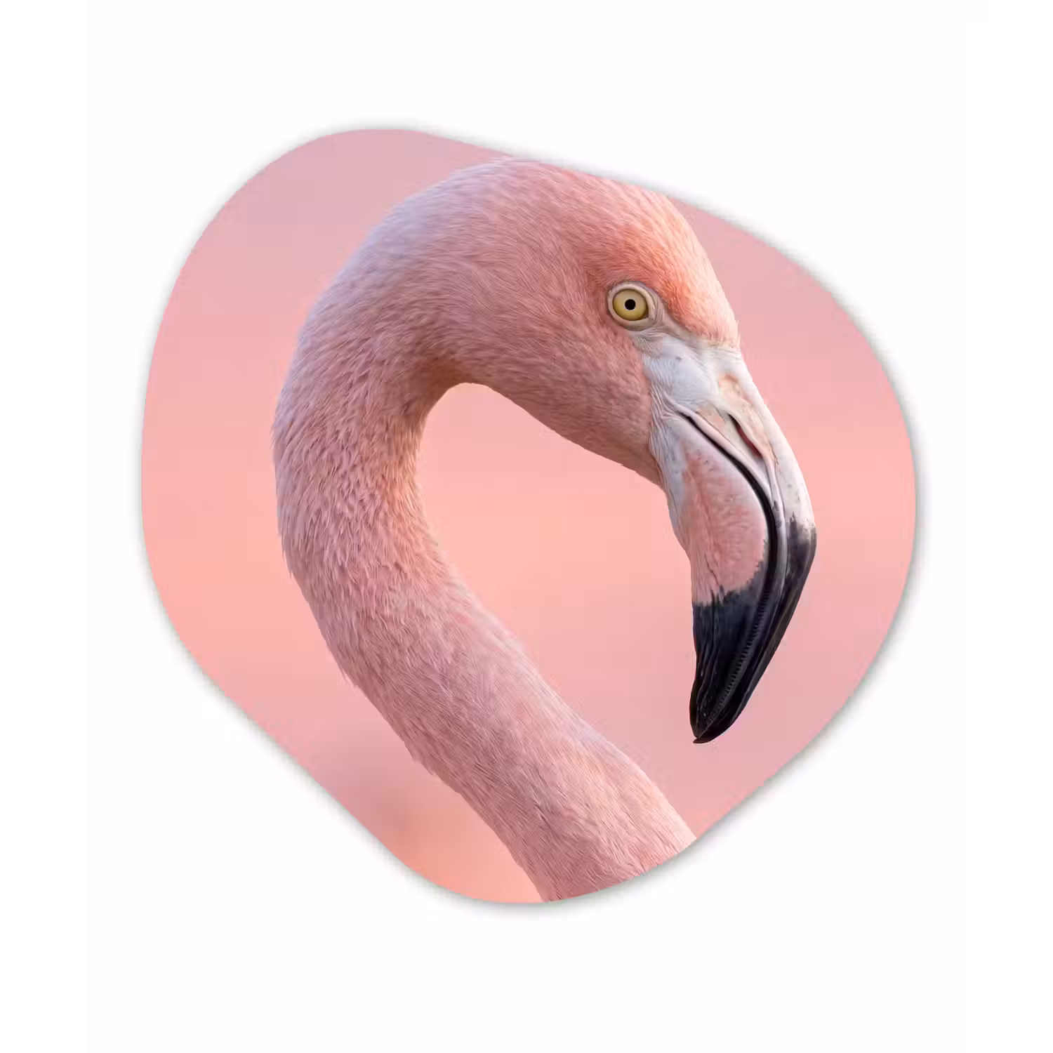 Flamingo - Portret - Roze Wandcirkel Organisch Aluminium middel -3d