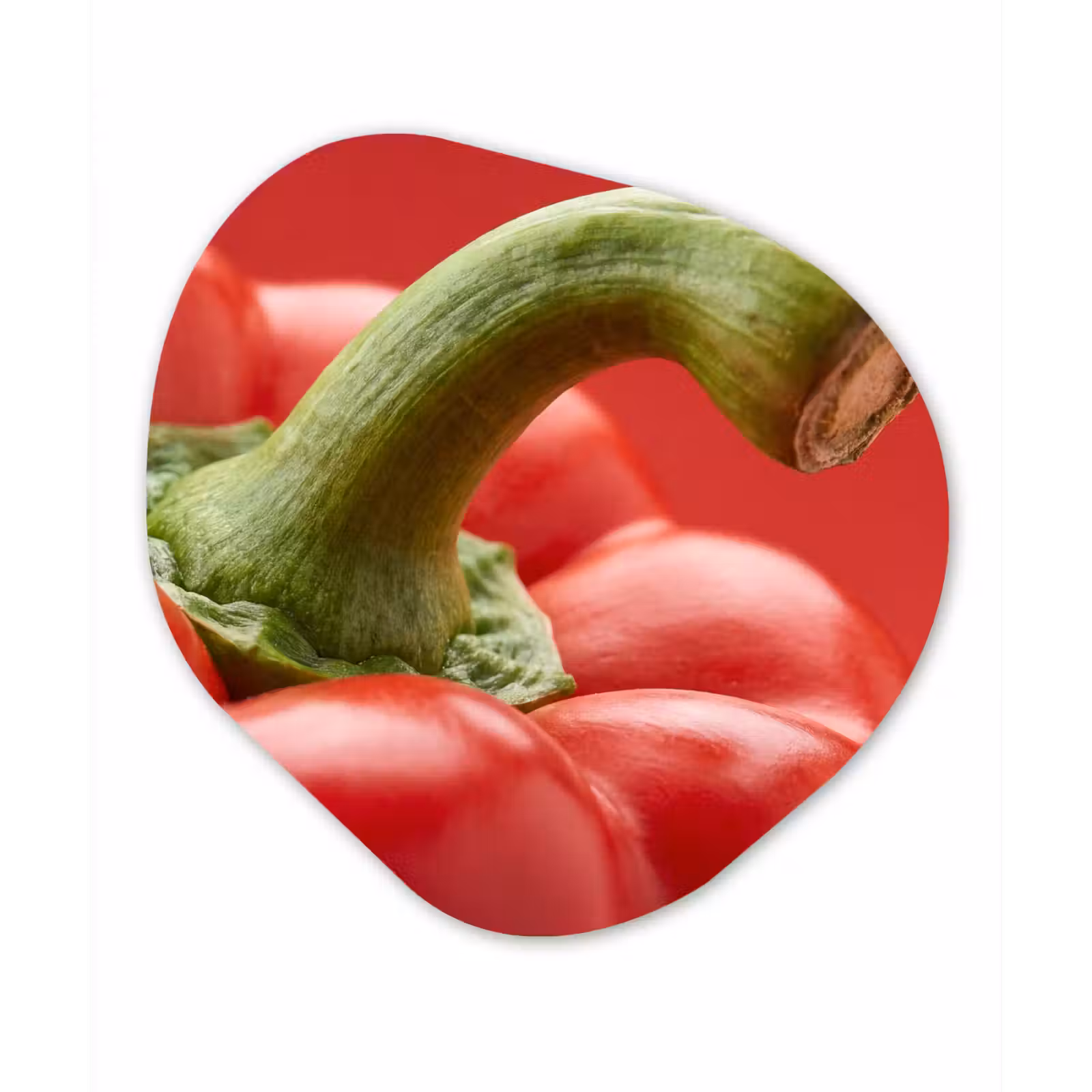 Organic painting - Aluminum -. Food - Bell Pepper - Red - Eten - Paprika - Rood Wandcirkel Organisch Aluminium middel