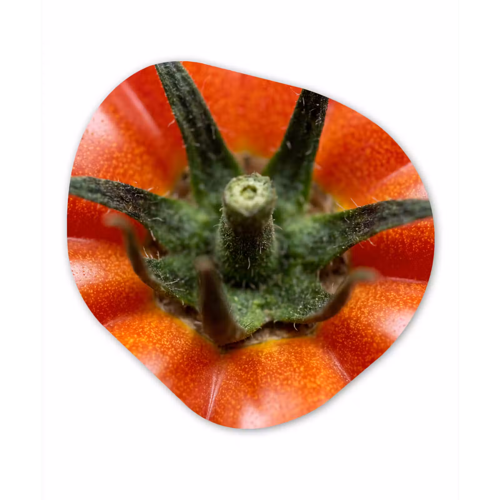 Organic painting - Aluminum -. Food - Tomato - Red - Eten - Tomaat - Rood Wandcirkel Organisch Aluminium middel