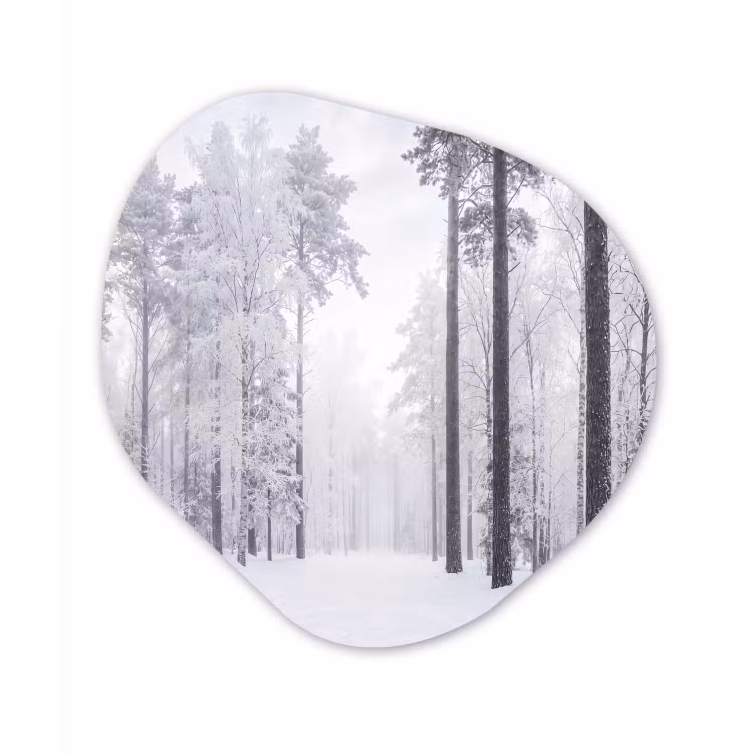 Bos - Sneeuw - Pad - Winter - Stilte Wandcirkel Organisch Aluminium middel -3d