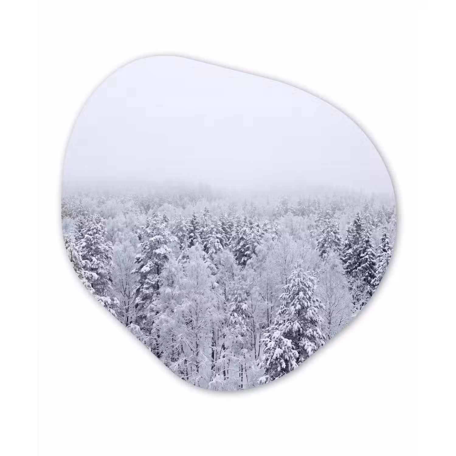 Bos - Sneeuw - Winter - Natuur - Wit Wandcirkel Organisch Aluminium middel -3d