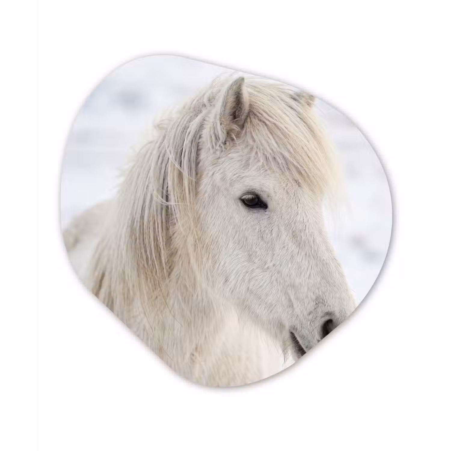 Paard - Kop - Winter - Dieren - Wit Wandcirkel Organisch Aluminium middel -3d