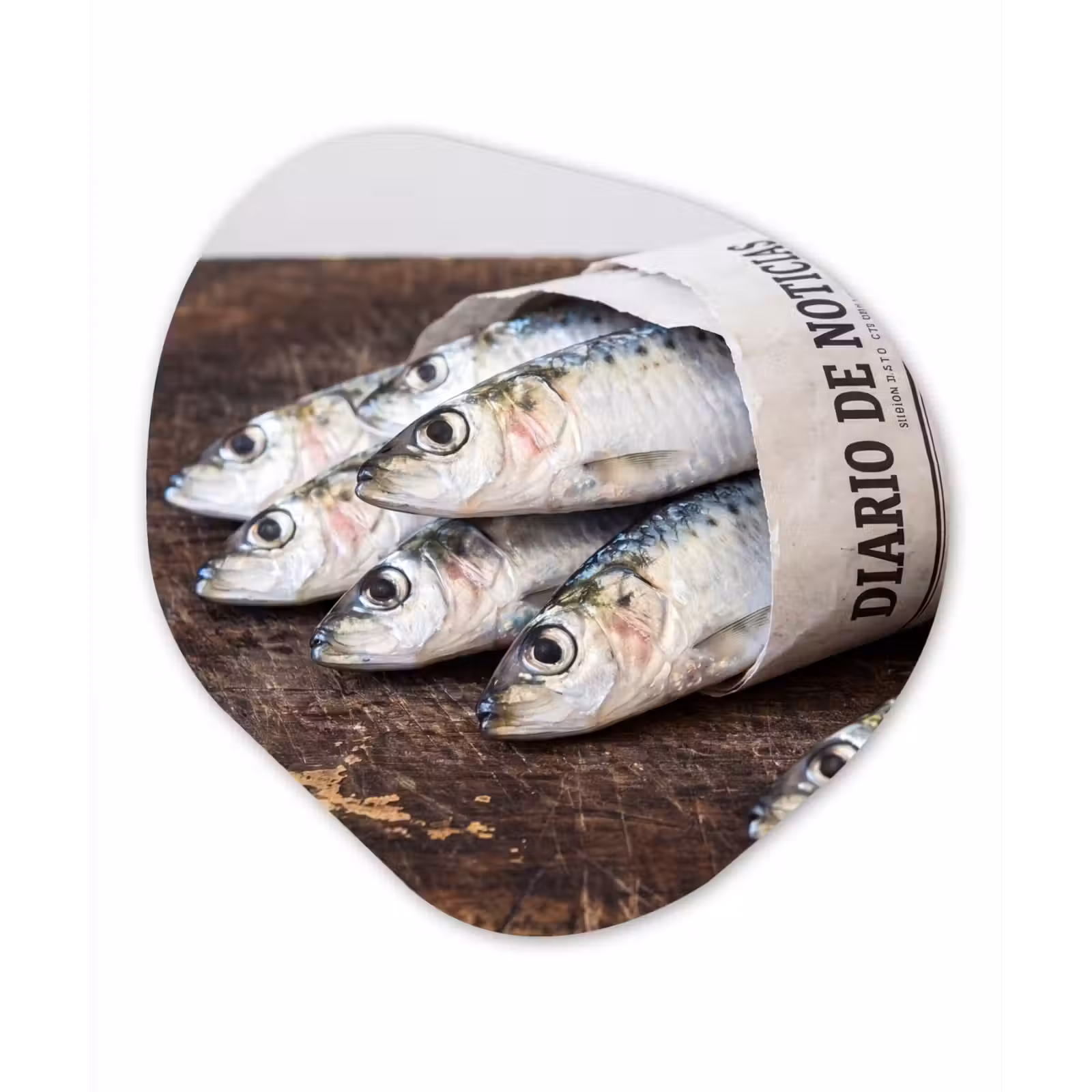 Organic painting - Aluminum -. Little Sardine - newspaper - cutting board - Sardientje - krant - snijplank Wandcirkel Organisch Aluminium middel