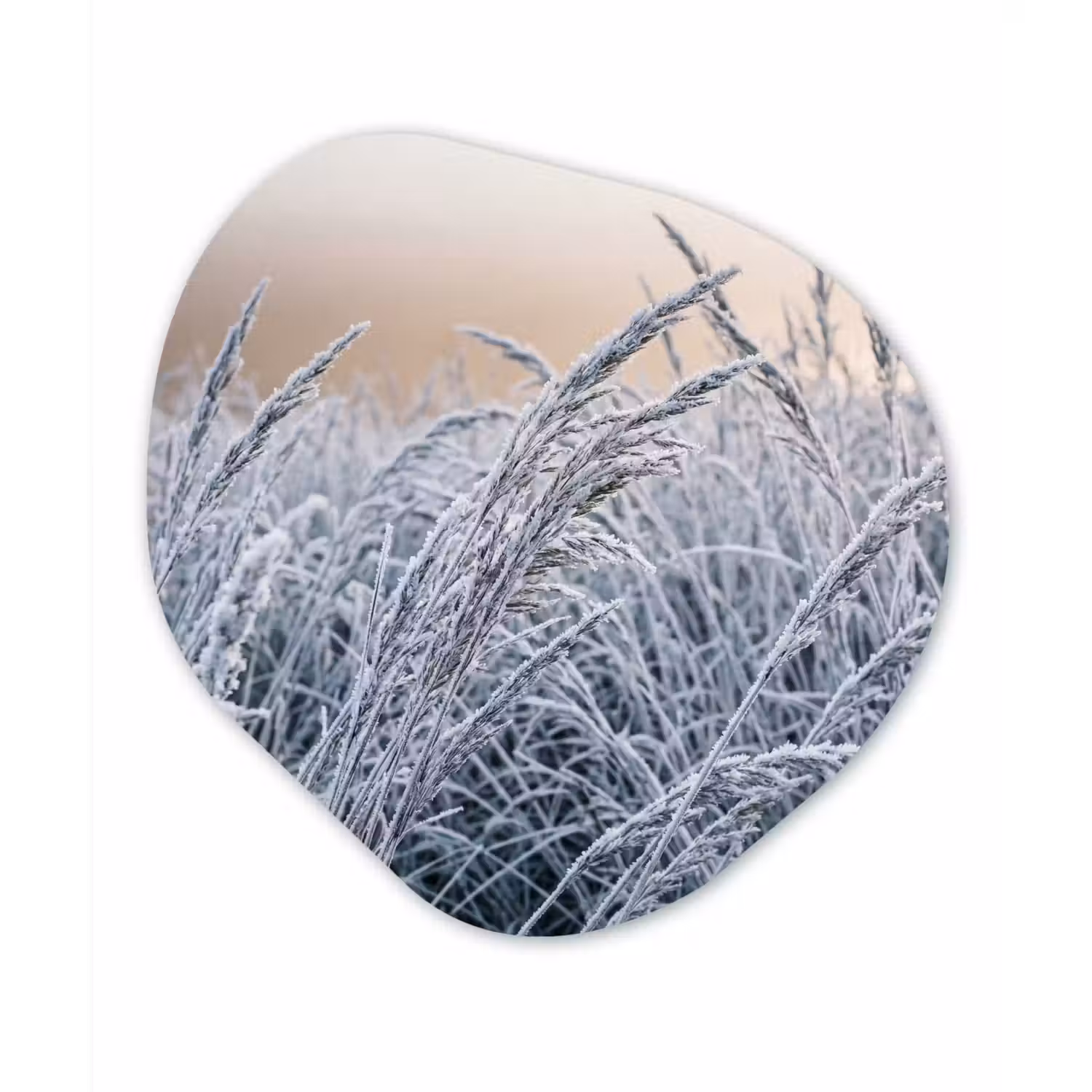 Rijp - Gras - Kristallen - Winter - Minimalistisch Wandcirkel Organisch Aluminium middel -3d