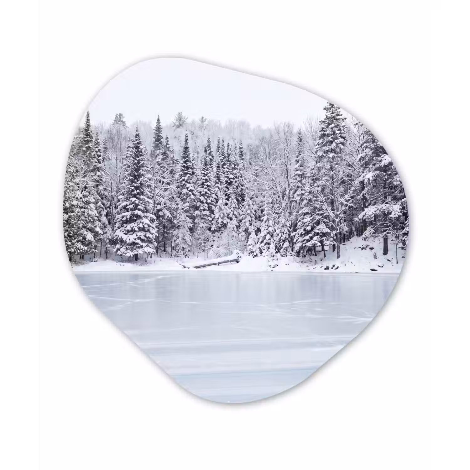 Meer - Dennen - IJs - Winter - Rustgevend Wandcirkel Organisch Aluminium middel -3d