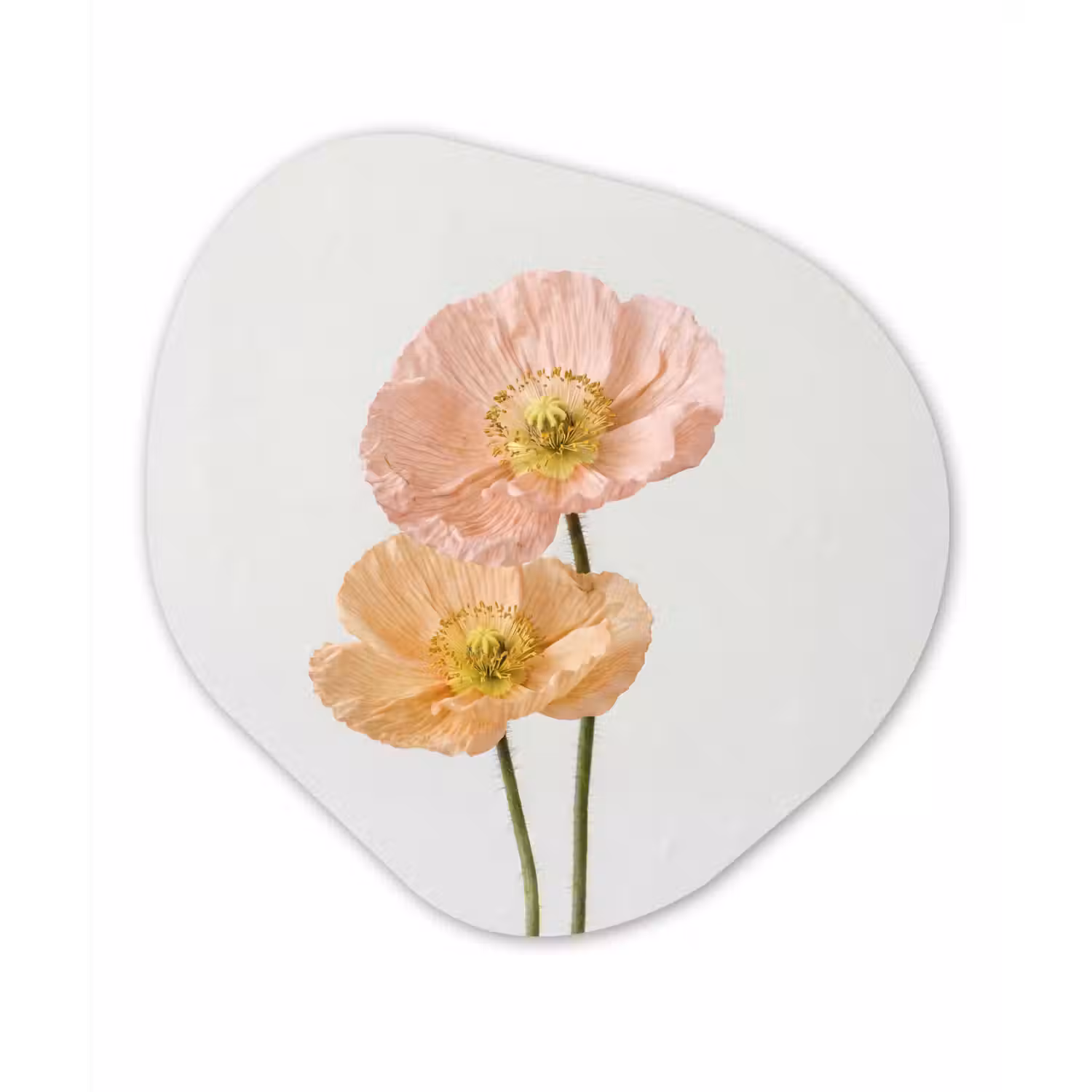 Papavers - Botanisch - Roze Wandcirkel Organisch Aluminium middel -3d