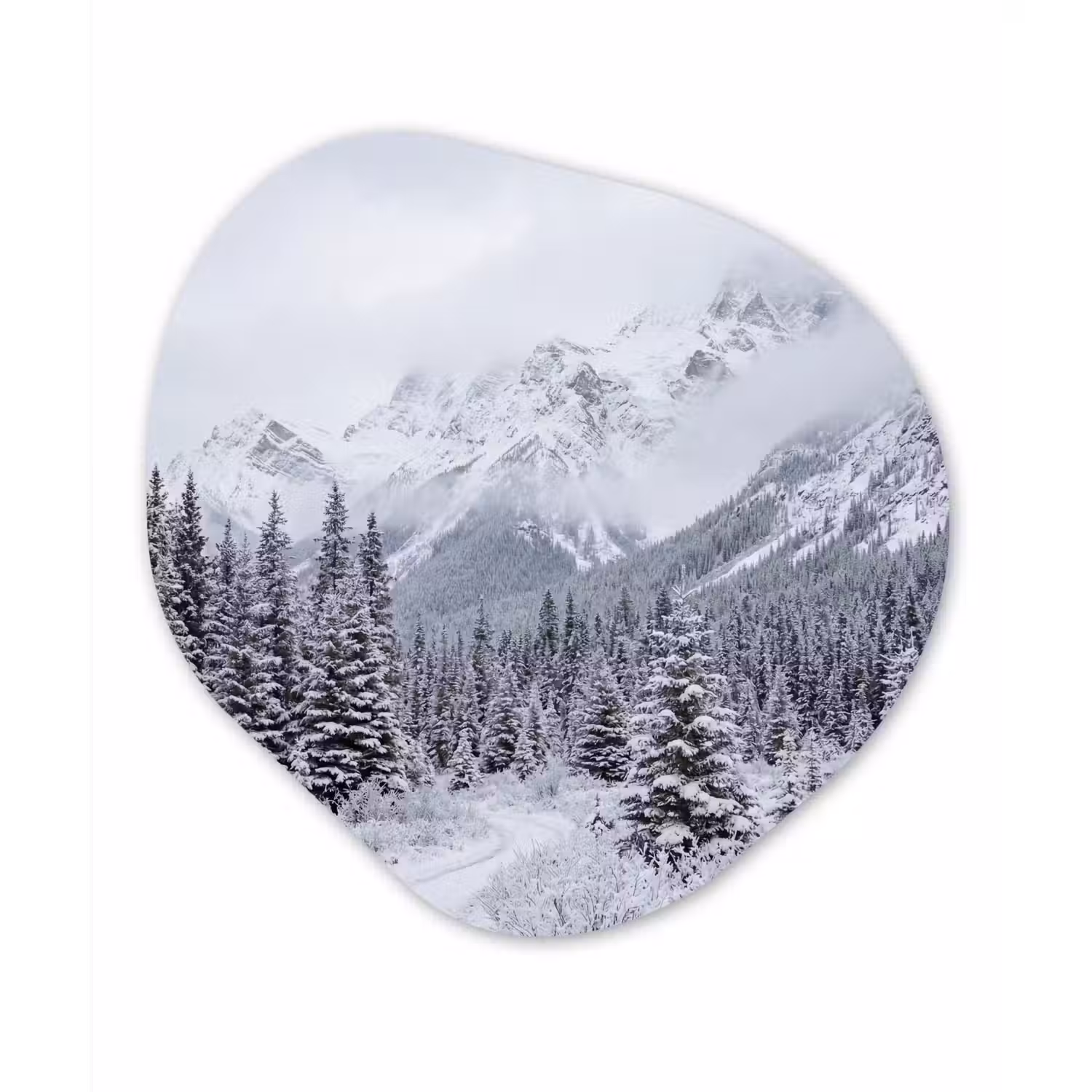 Weg - Bergen - Sneeuw - Naaldbos - Avontuurlijk Wandcirkel Organisch Aluminium middel -3d