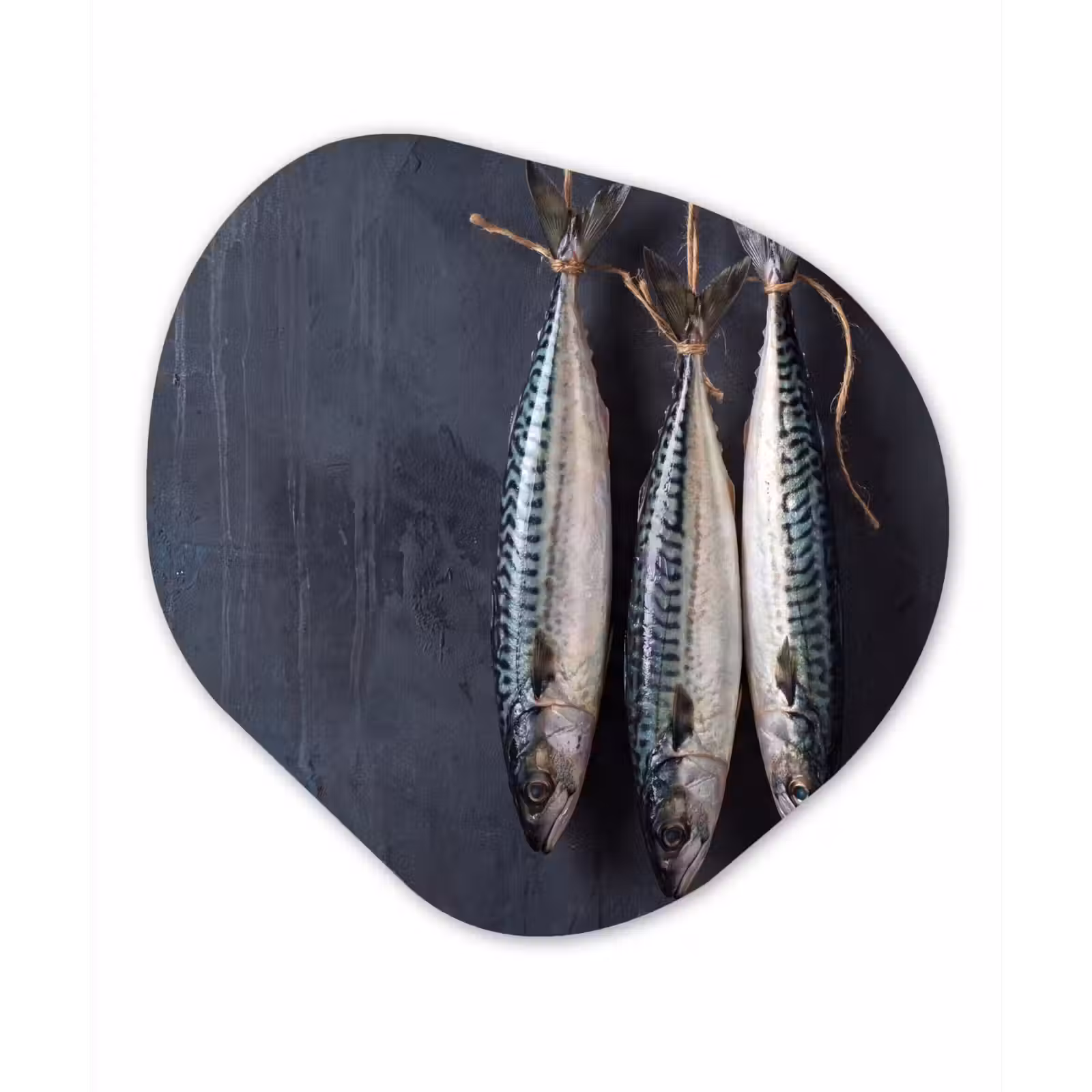 Organic painting - Aluminum -. Three Fish - Rope - Drie vissen - Touw Wandcirkel Organisch Aluminium middel