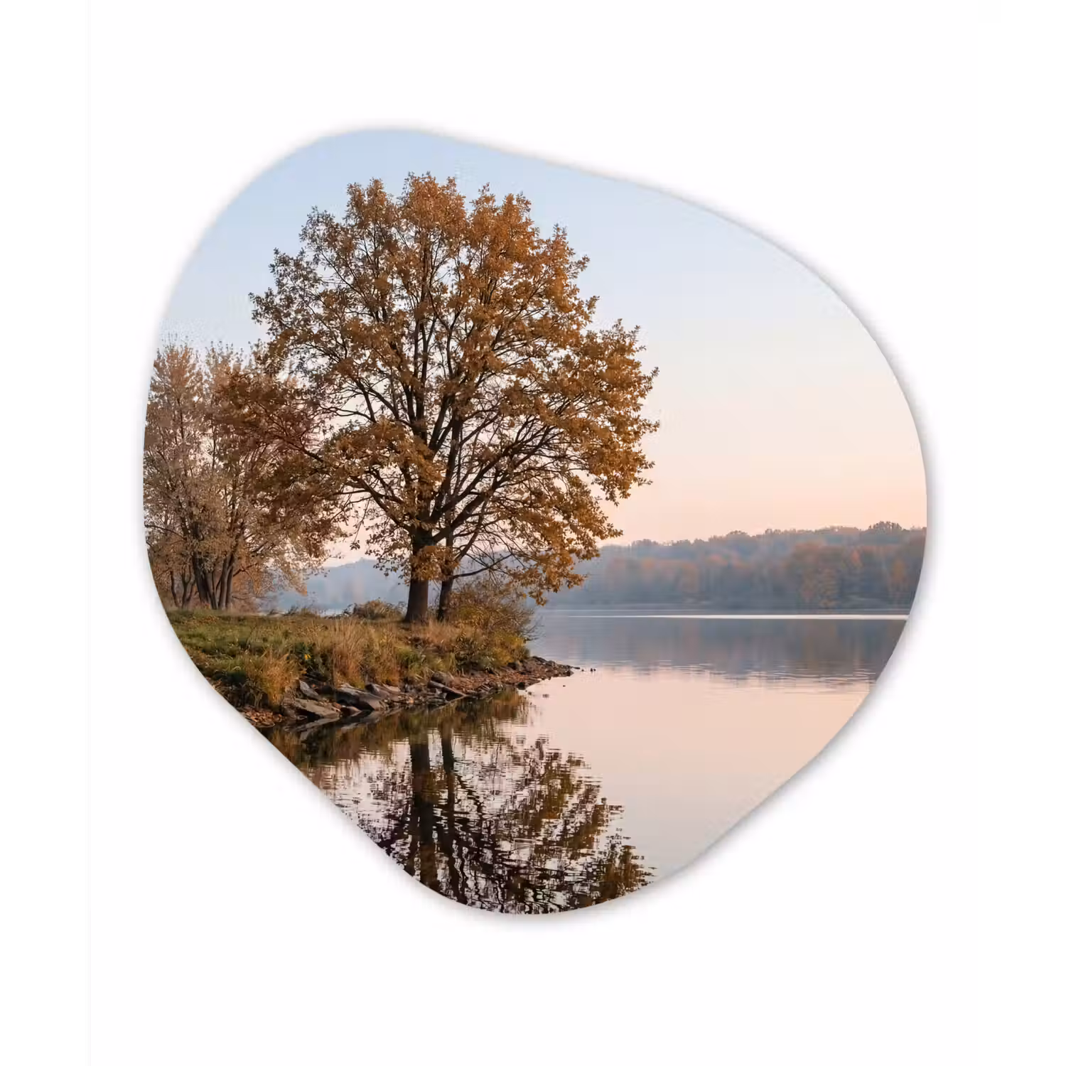 Bomen - Reflectie - Water - Zonsopgang - Serene Wandcirkel Organisch Aluminium middel -3d