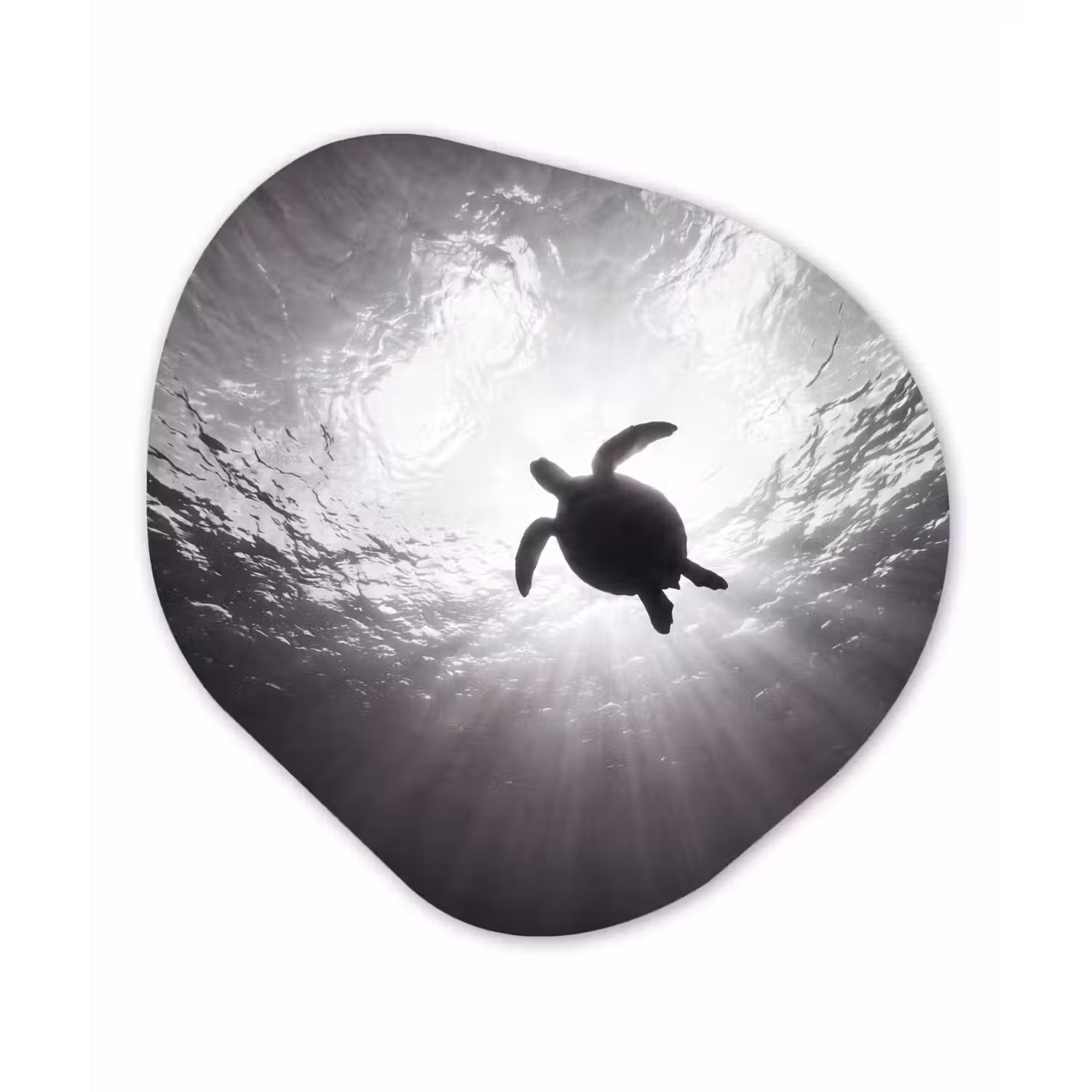 Schildpad - Onderwater - Lichtstralen - Oceaan - Zwart-wit Wandcirkel Organisch Aluminium middel -3d