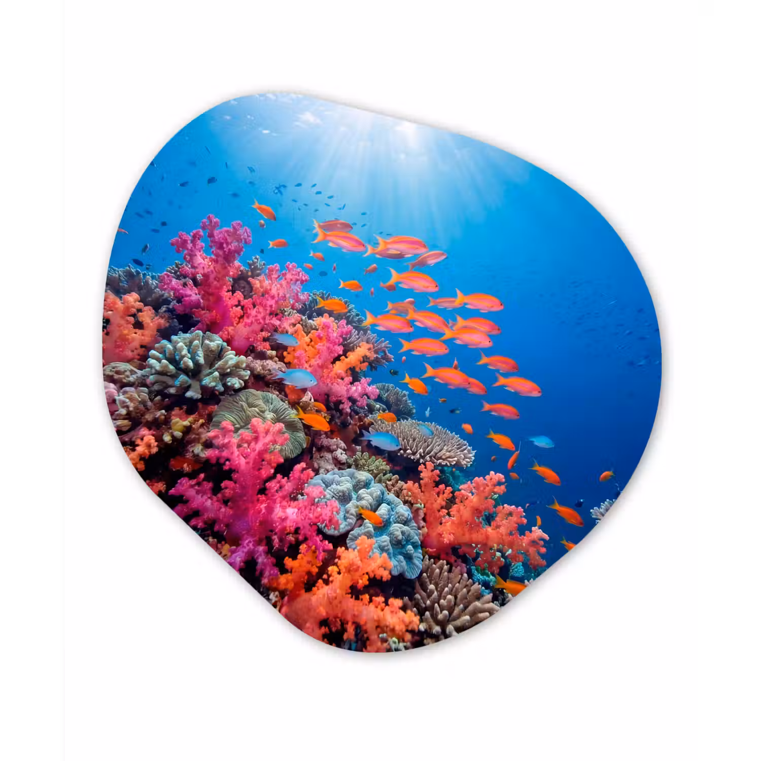 Onderwater - Koraalrif - Vissen - Oceaan - Natuur Wandcirkel Organisch Aluminium middel -3d