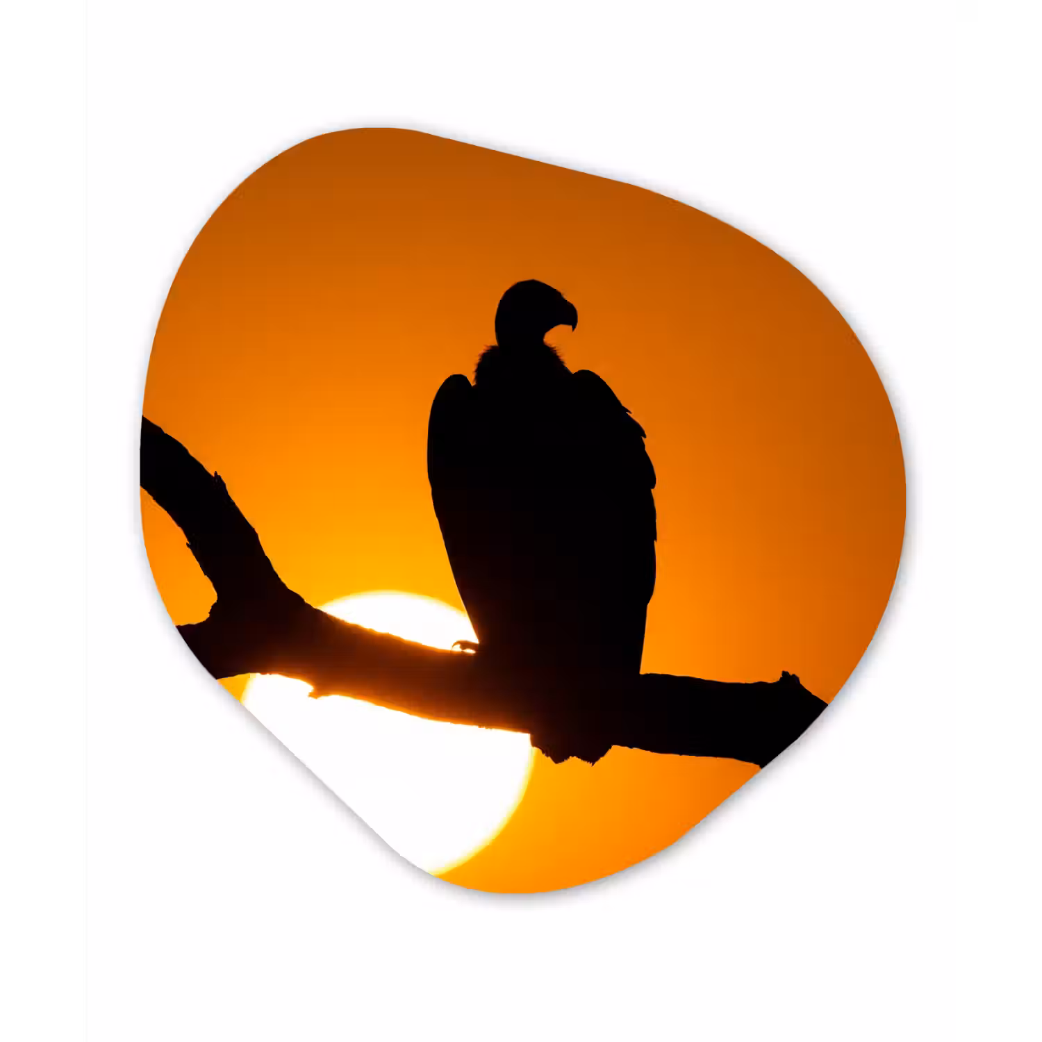 Gier - Tak - Zon - Oranje Wandcirkel Organisch Aluminium middel -3d