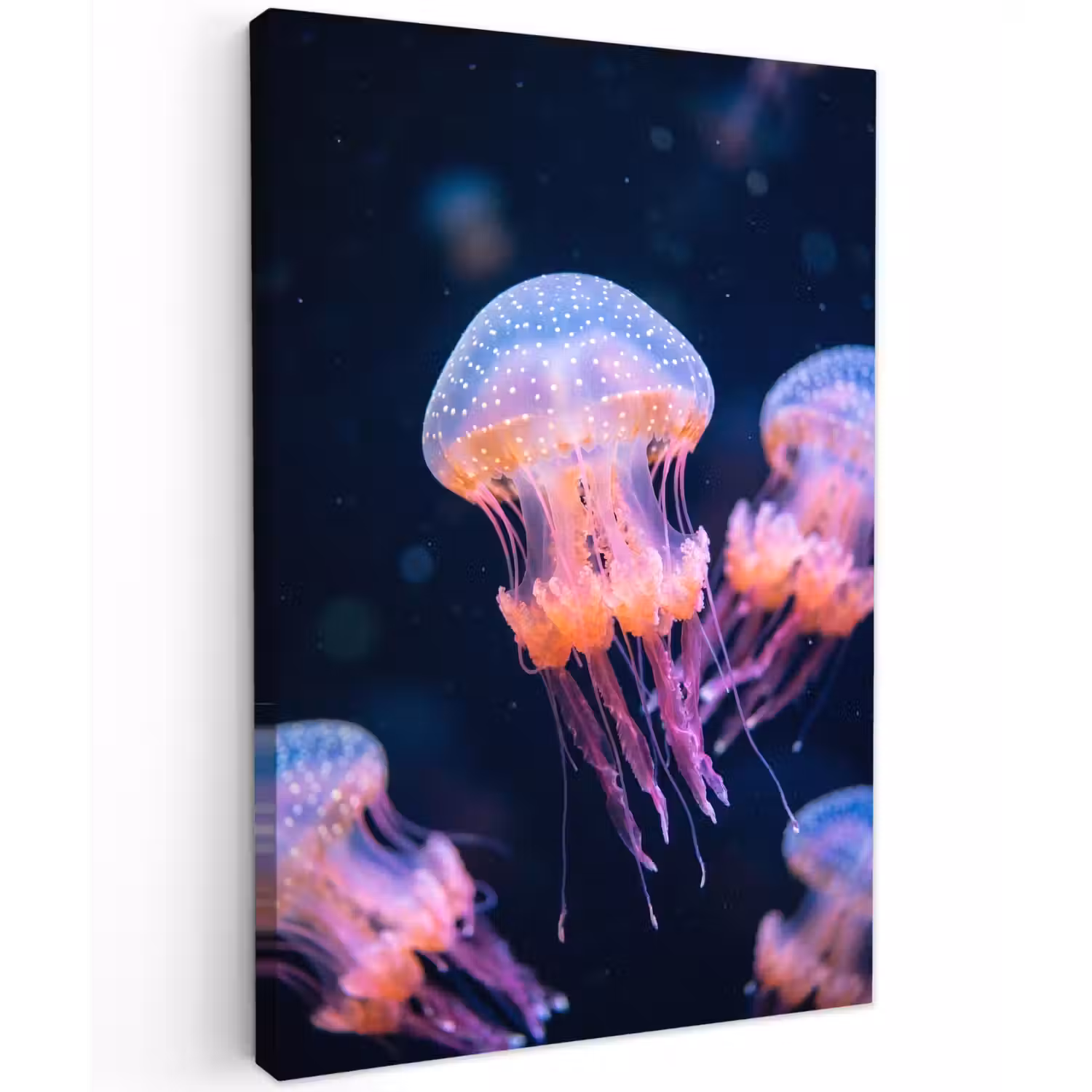 Dier - Onderwater - Natuur - Roze - Mysterieus Tuinposter op houten frame 2 cm dik klein -3d