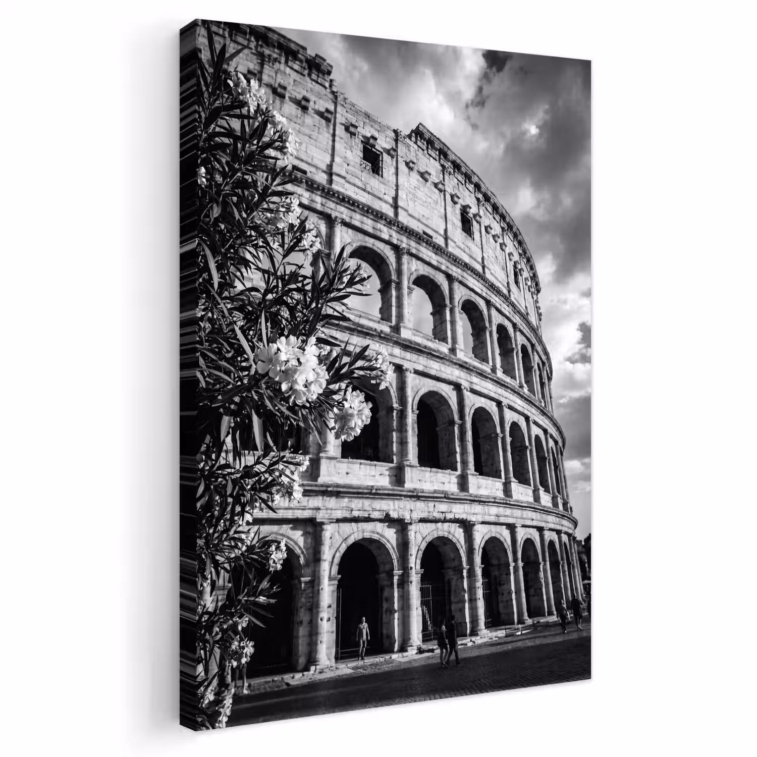 Architectuur - Colosseum - Rome - Historisch - Zwart-wit Tuinposter op houten frame 2 cm dik klein -3d