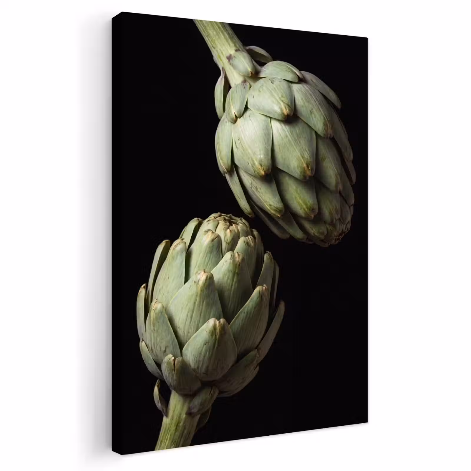 Outdoor Canvas Print - Artichoke - Green - Food - Artisjok - Groen - Eten Tuinposter op houten frame 2 cm dik klein