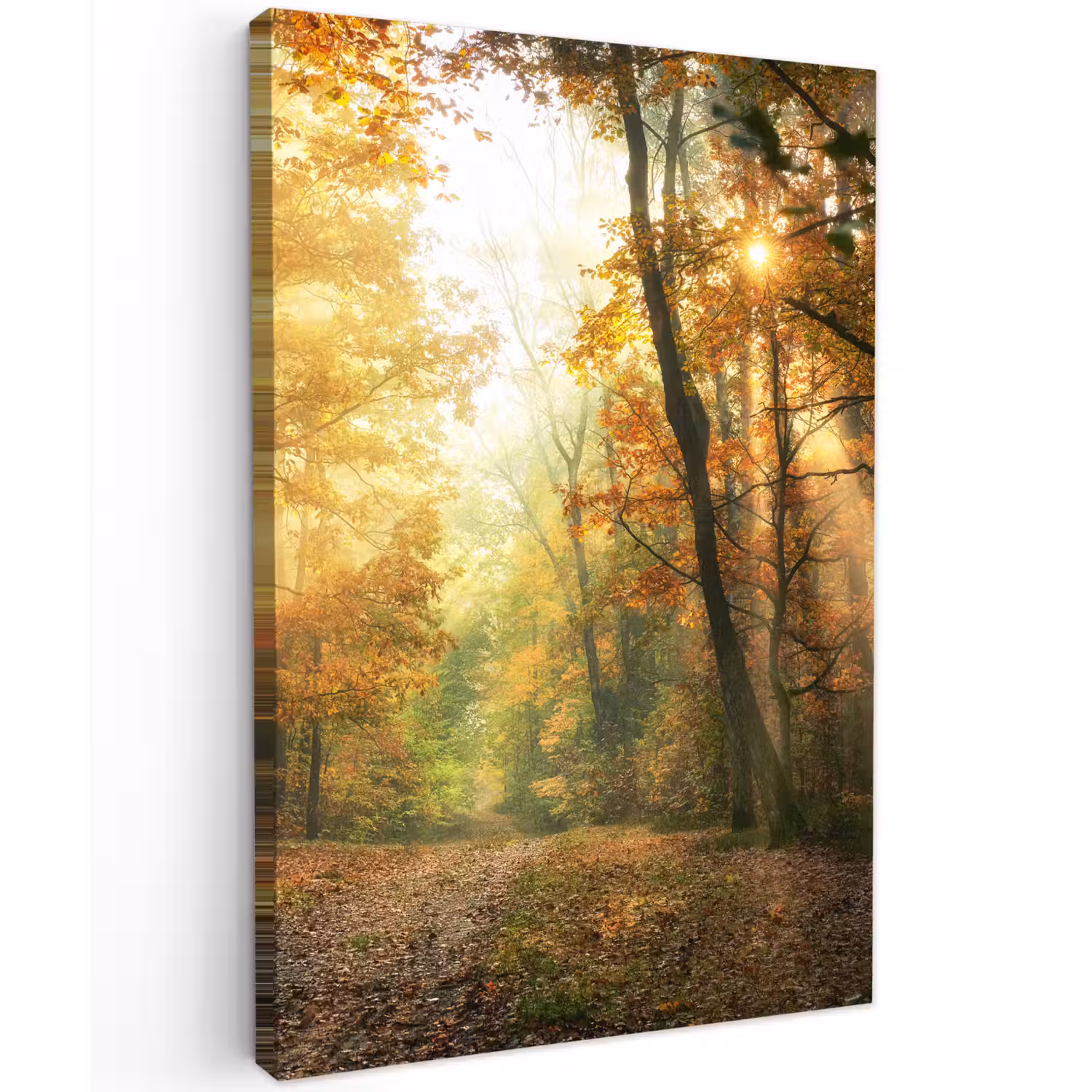 Herfstbos in gouden zonlicht Tuinposter op houten frame 2 cm dik klein -3d