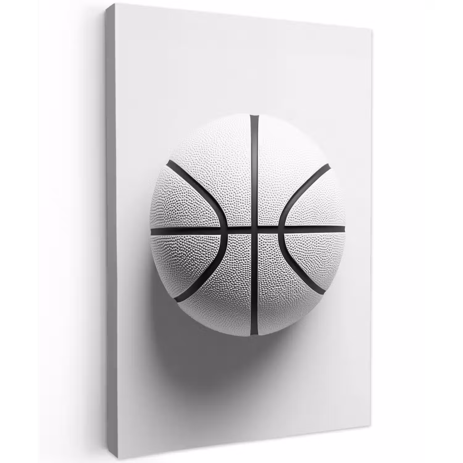 Basketbal - Wit - Schaduw - Lijnen Tuinposter op houten frame 2 cm dik klein -3d