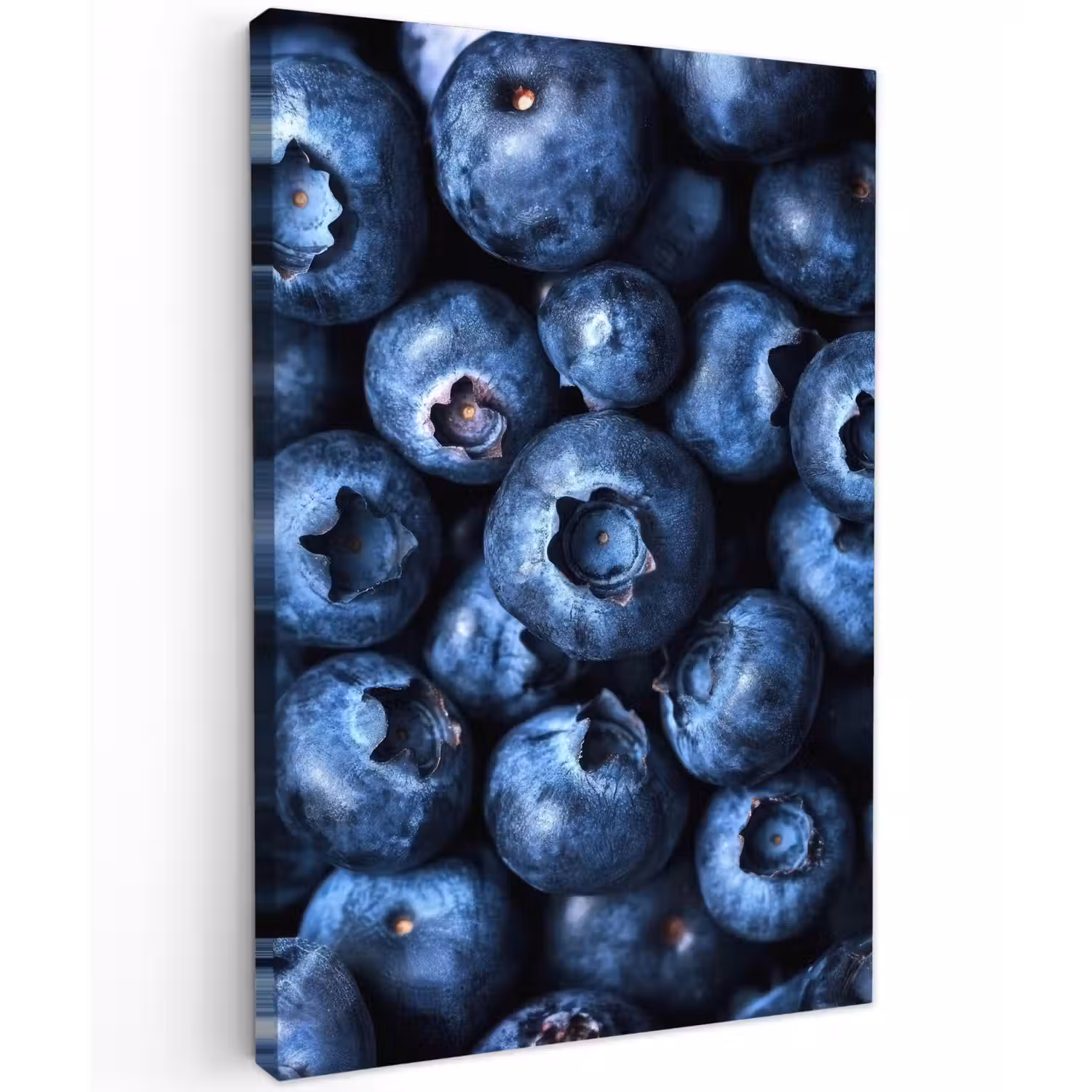 Bessen - Blauw - Fruit Tuinposter op houten frame 2 cm dik klein -3d