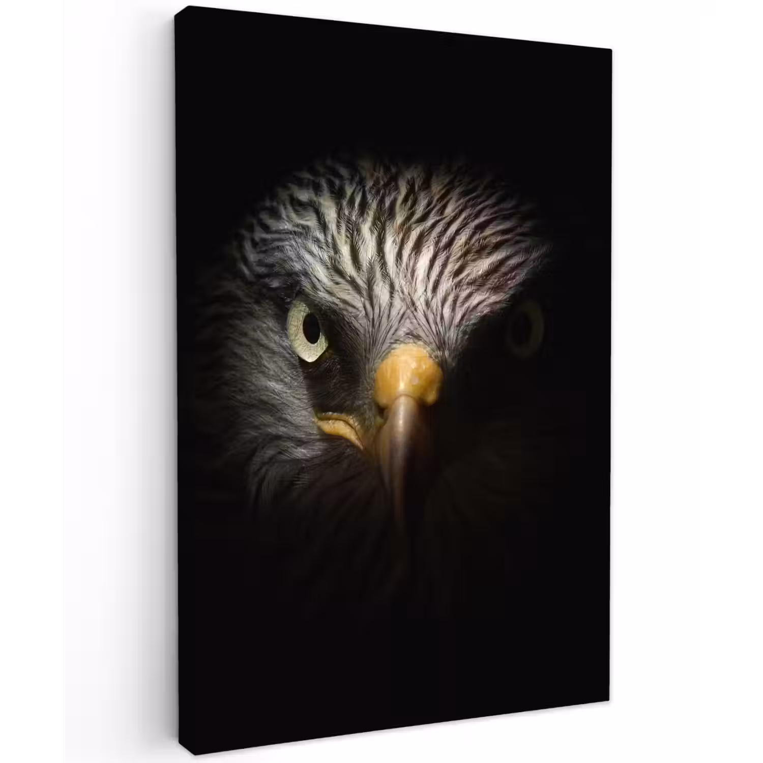 Vogel - Adelaar - Roofvogels - Oog - Snavel - Licht Tuinposter op houten frame 2 cm dik klein -3d