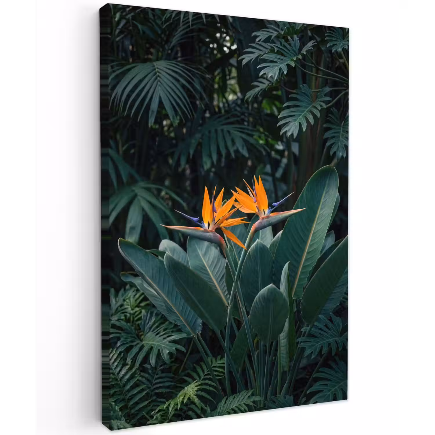 Paradijsvogel - Bloem - Exotisch Tuinposter op houten frame 2 cm dik klein -3d