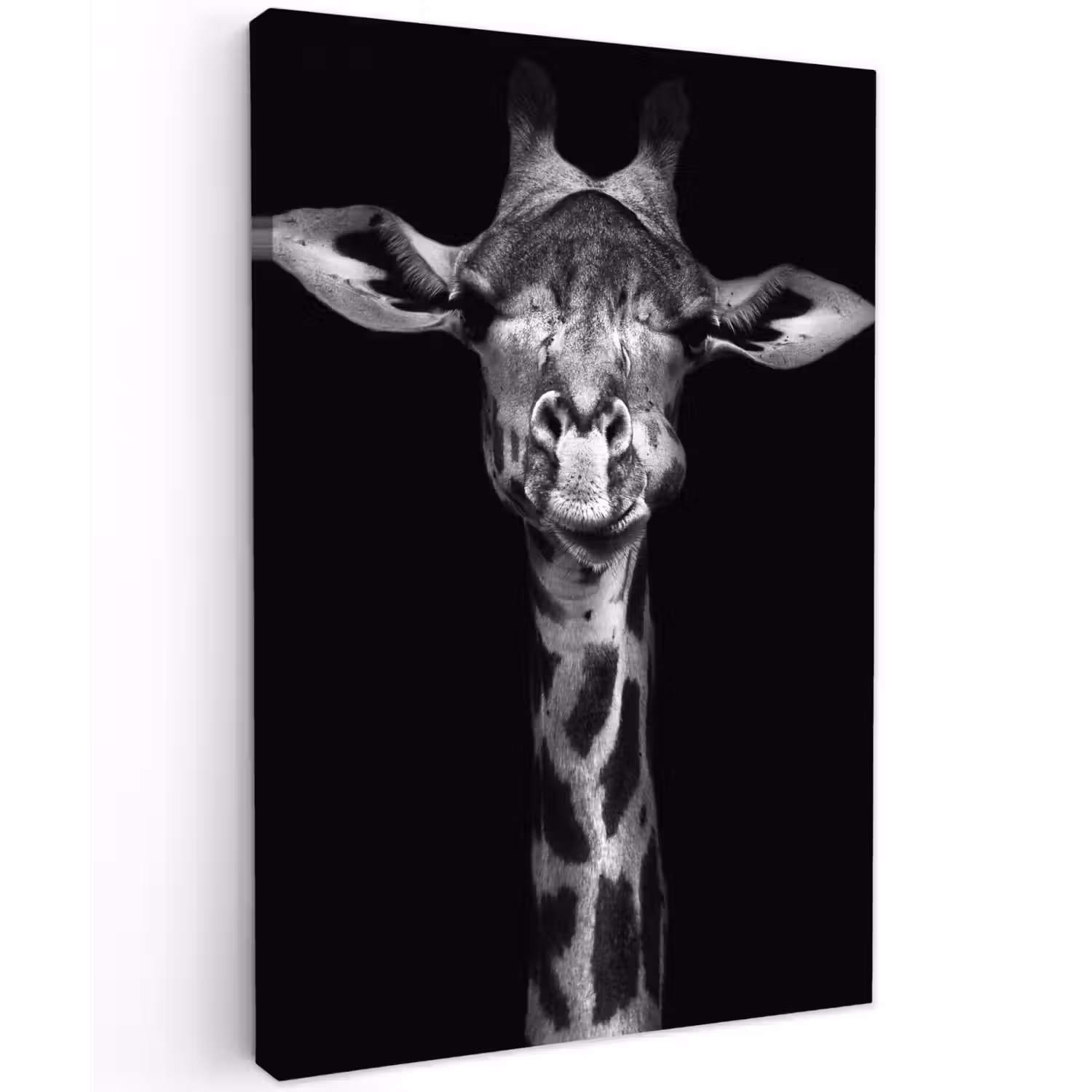 Zwart-wit portret van een giraffe Tuinposter op houten frame 2 cm dik klein -3d