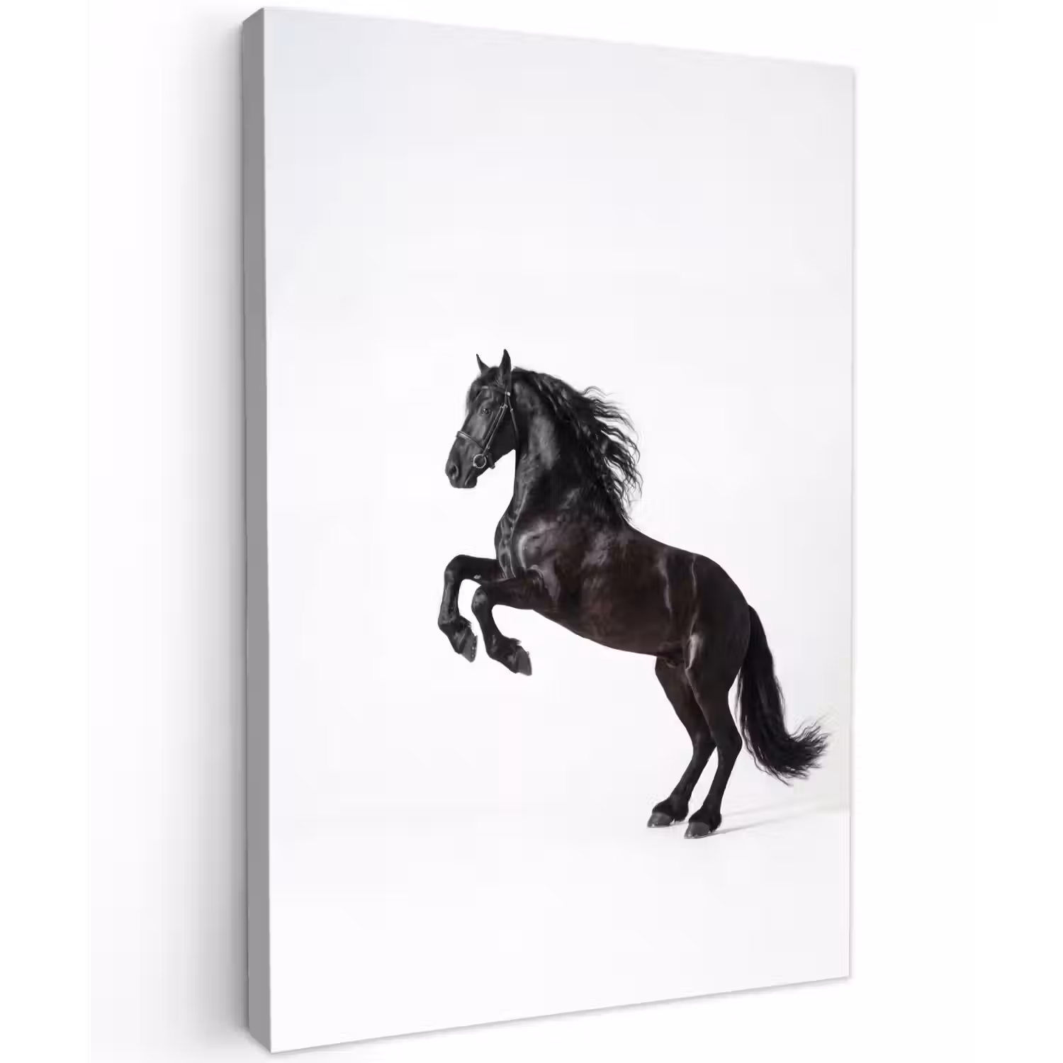Zwart - Paard - Portret Tuinposter op houten frame 2 cm dik klein -3d